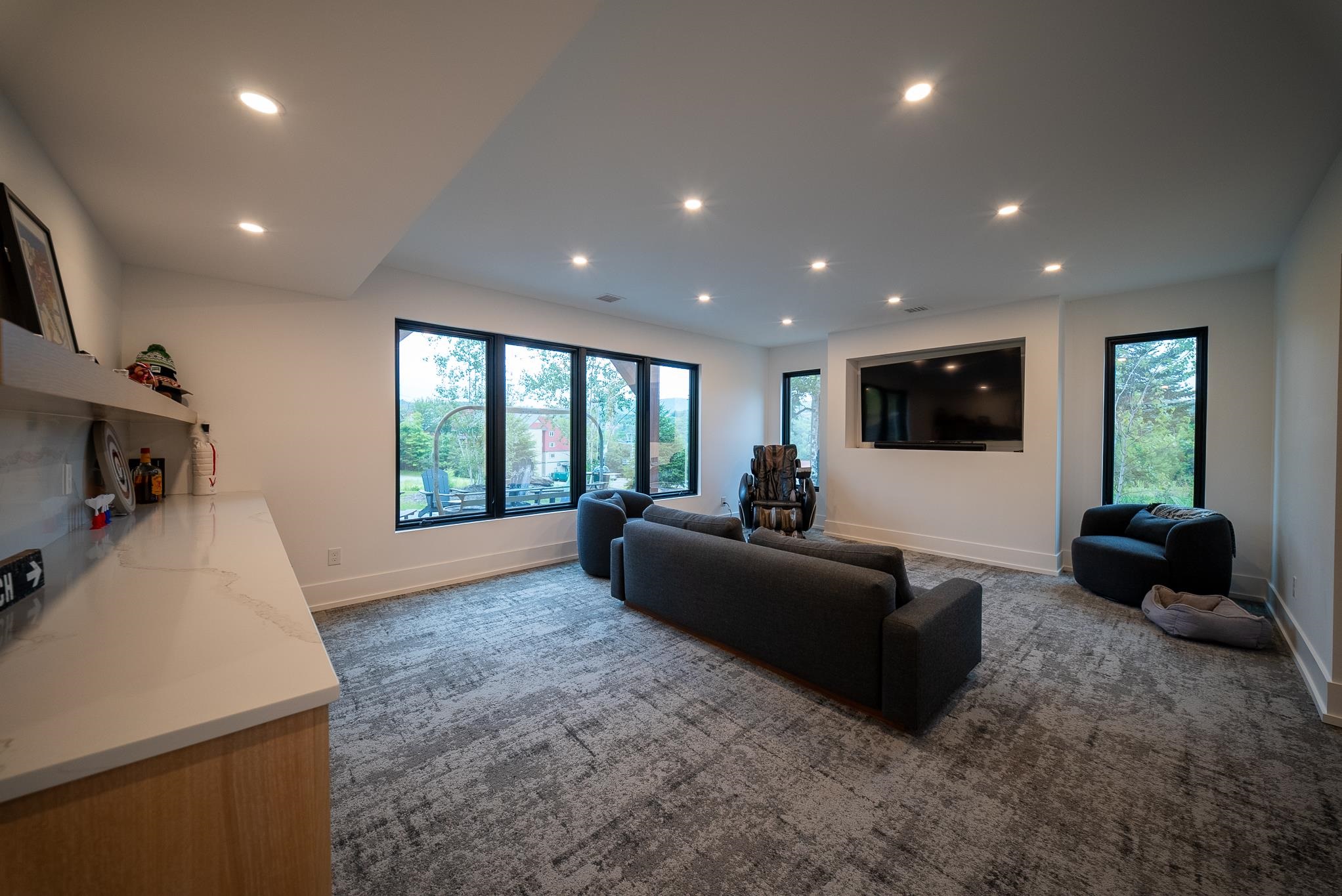 Lower Level Living Room