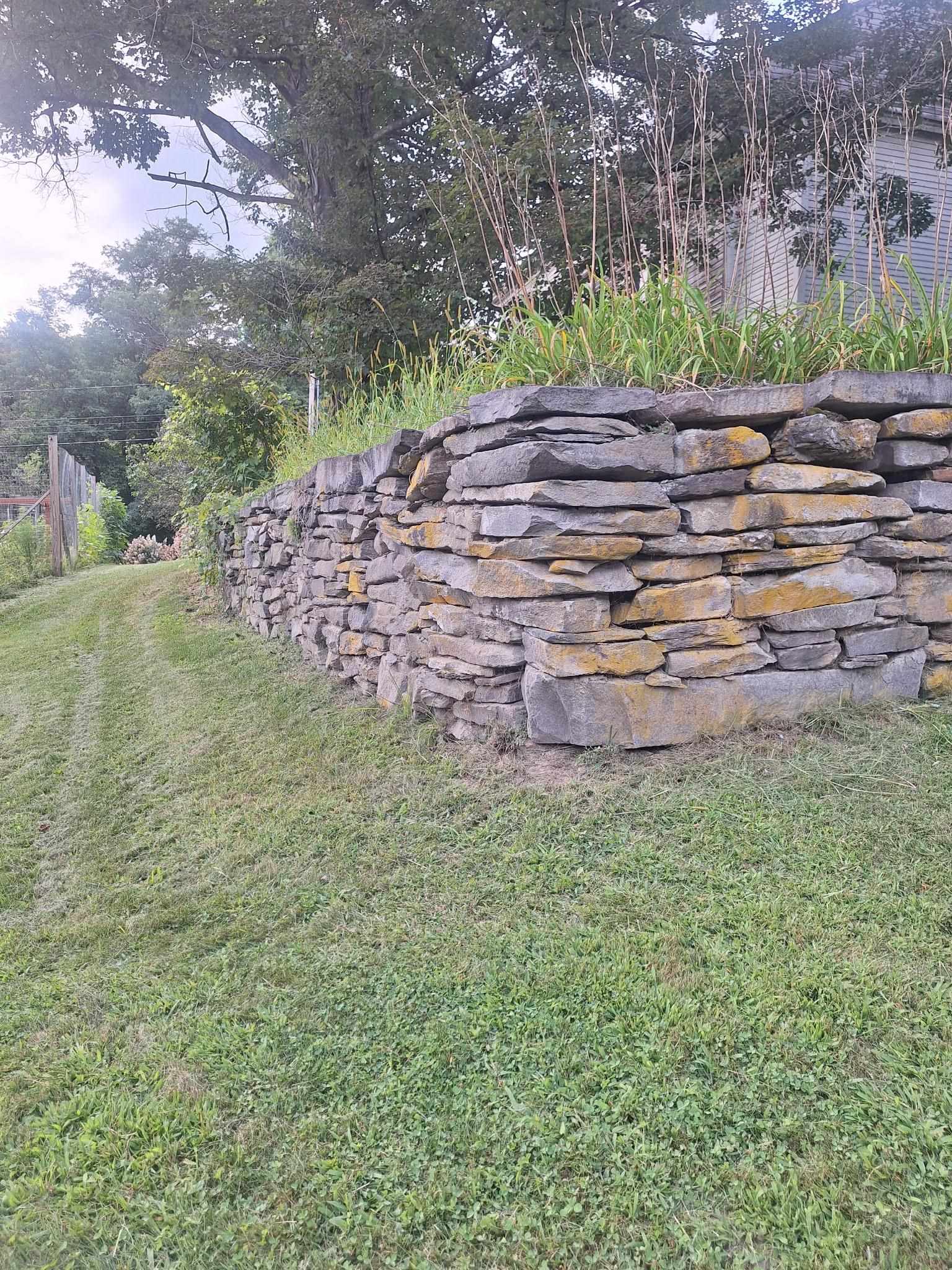  26095954