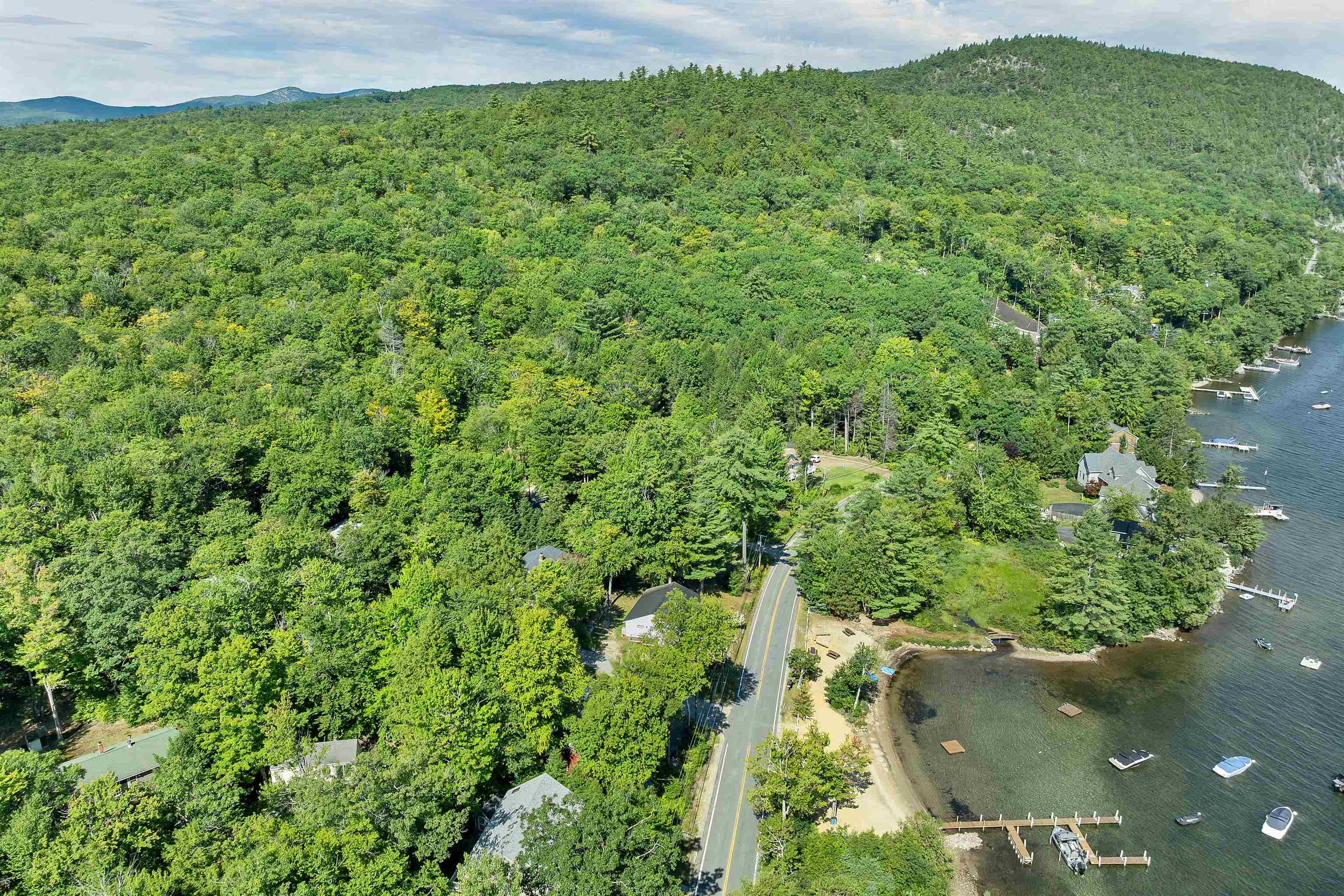  26095742