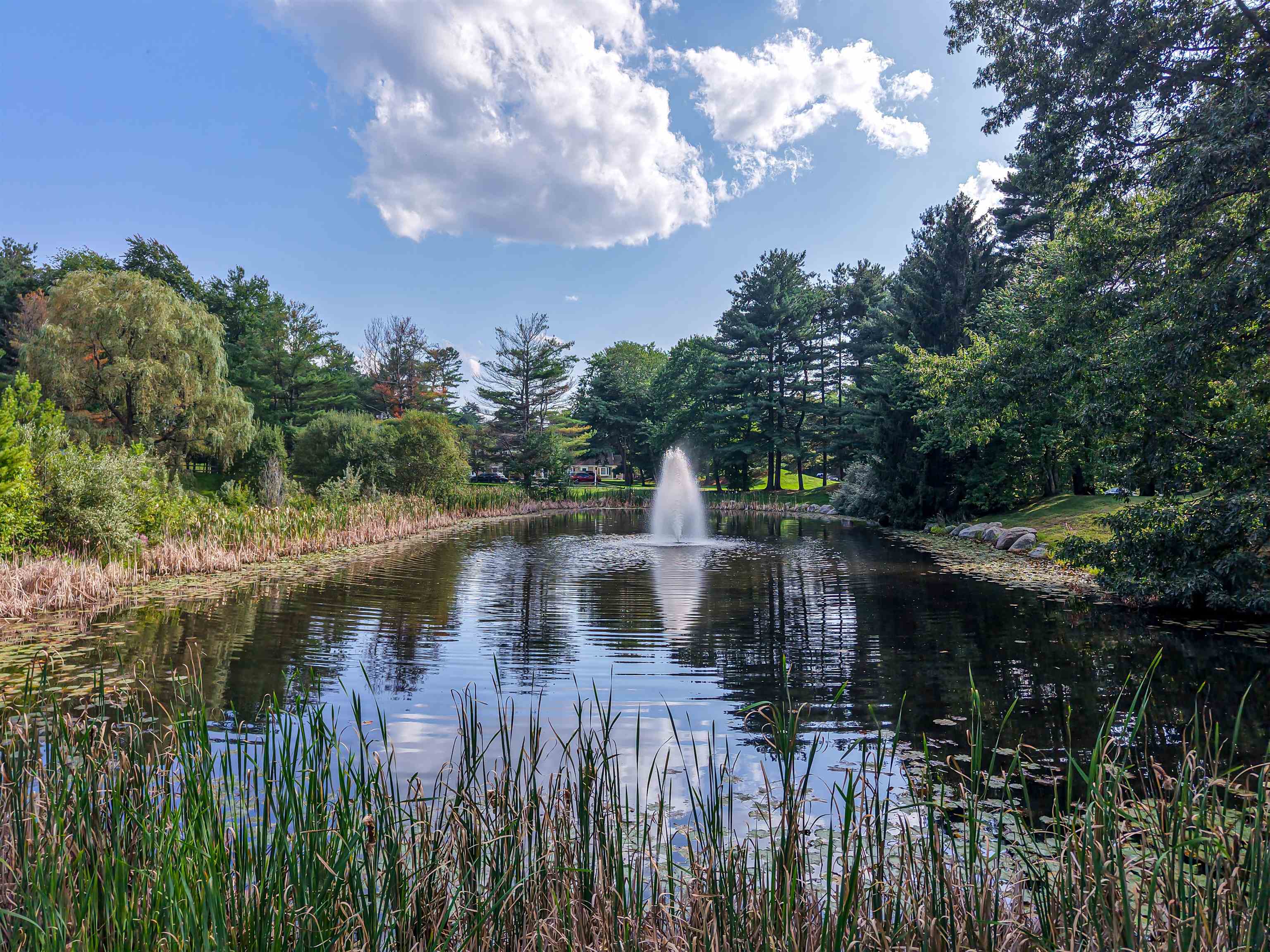 Beautiful entry to the complex
