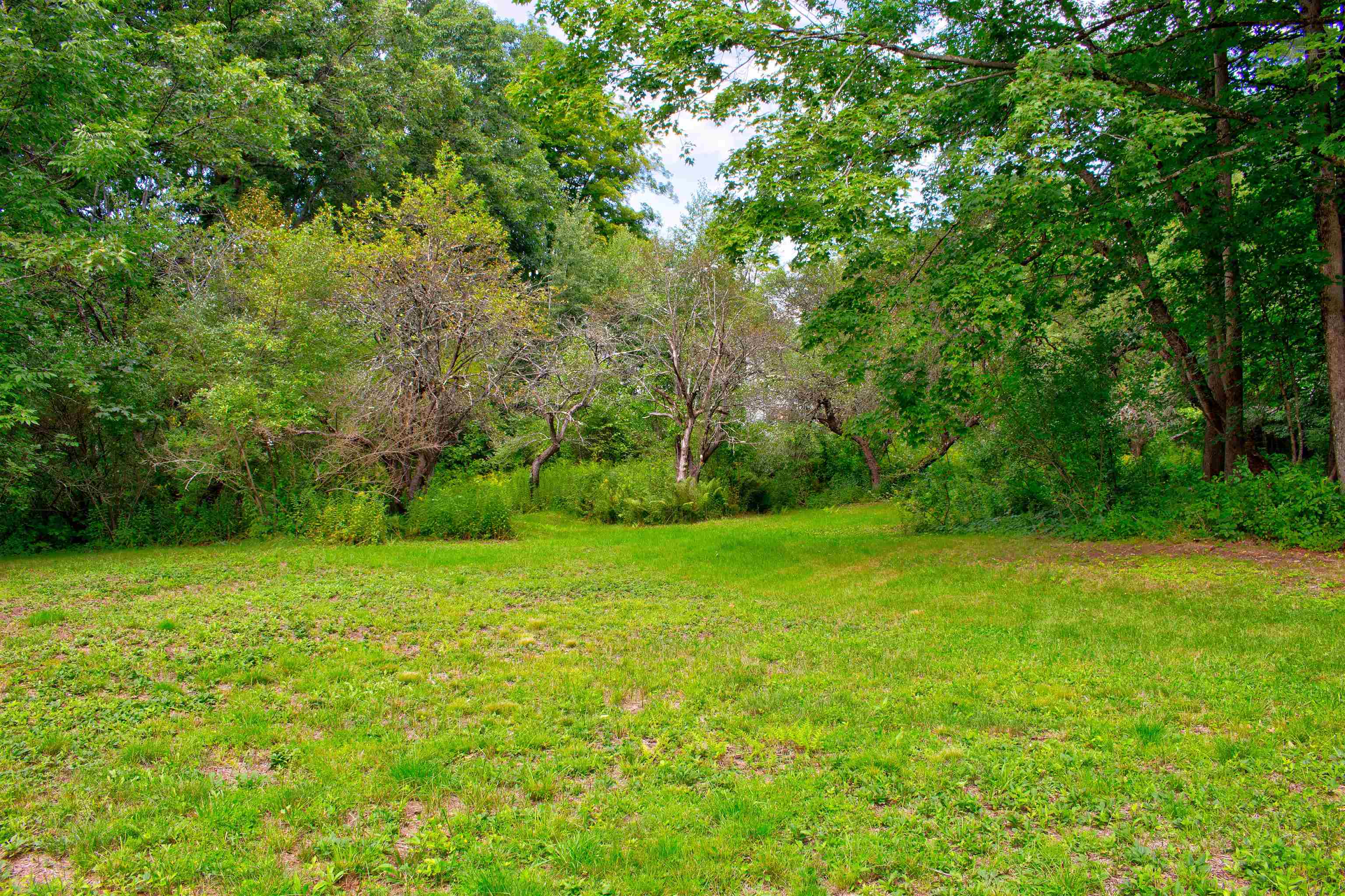 Expansive Lawn Area