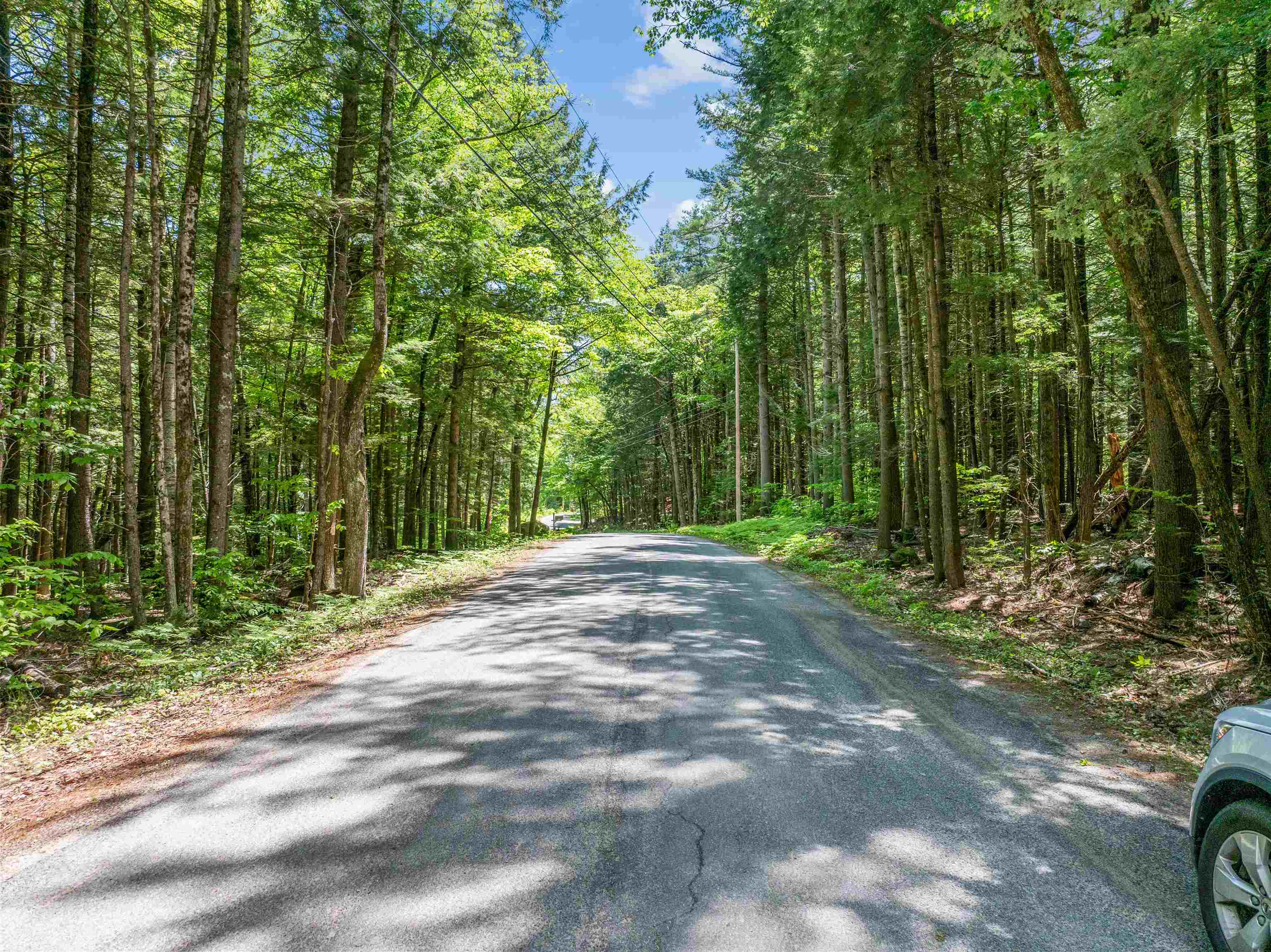 Road to Pond