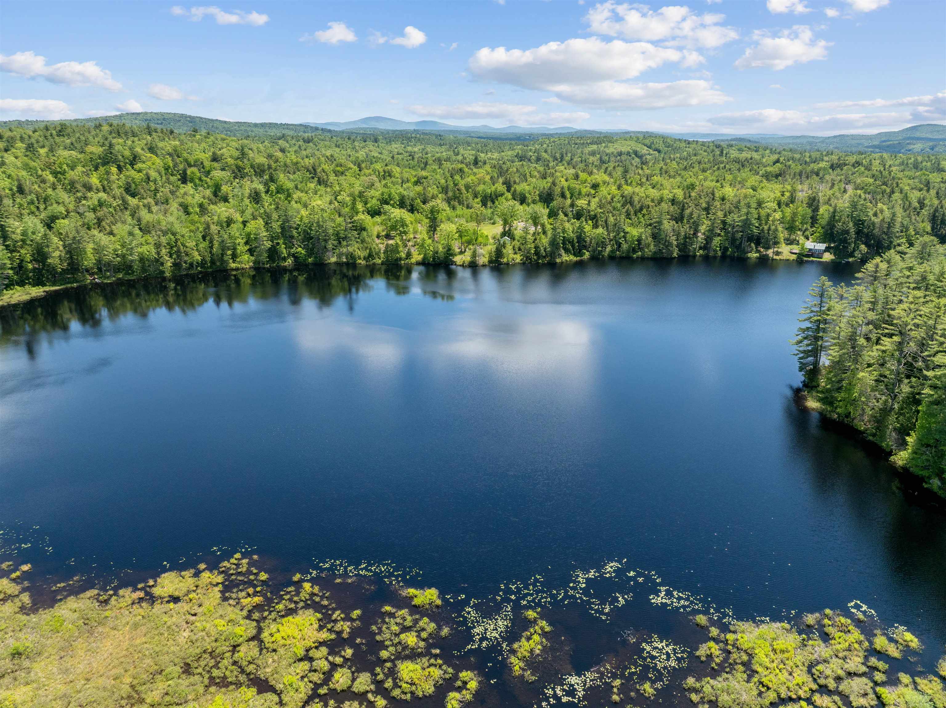 Forest Pond