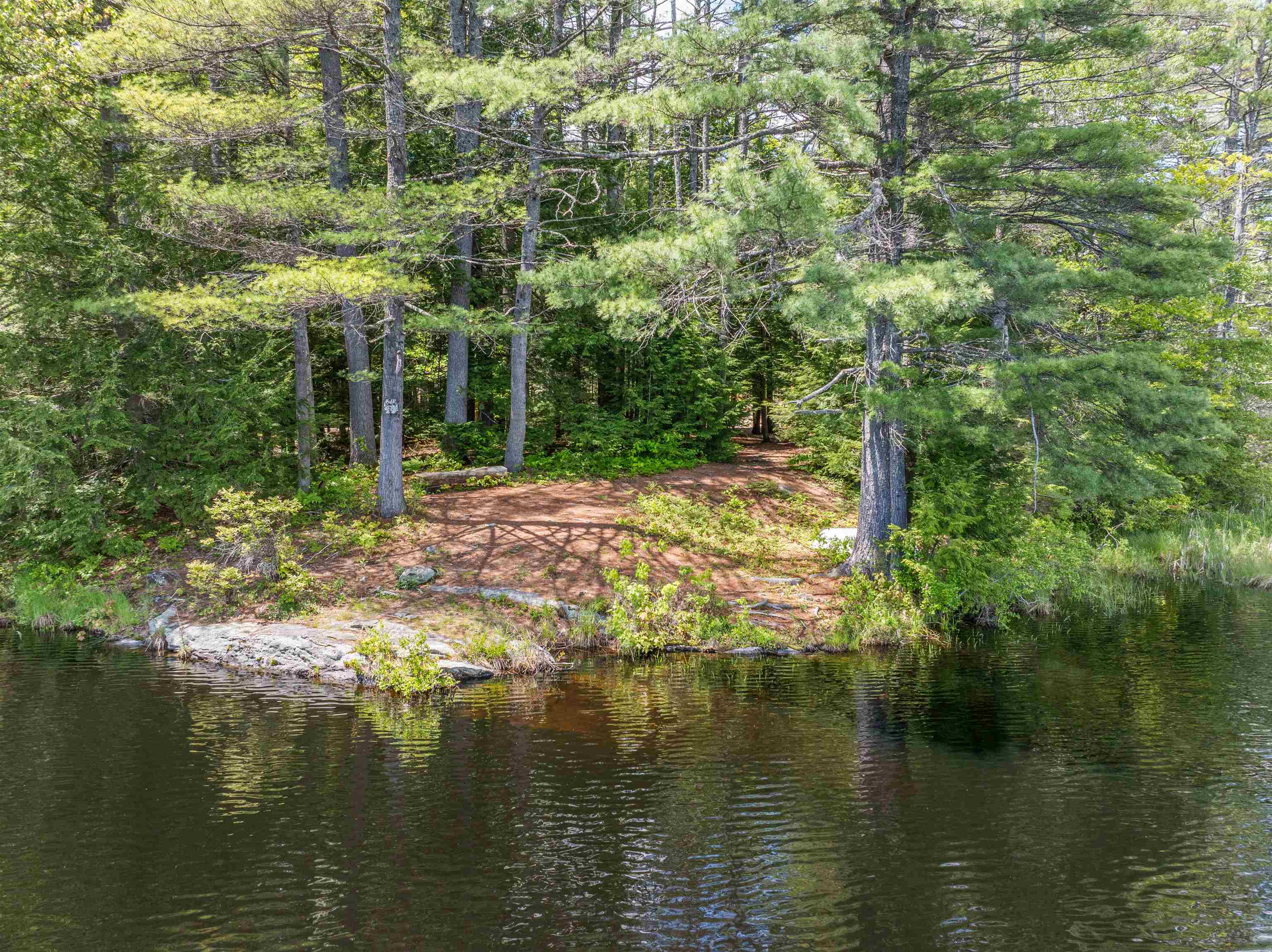 Forest Pond