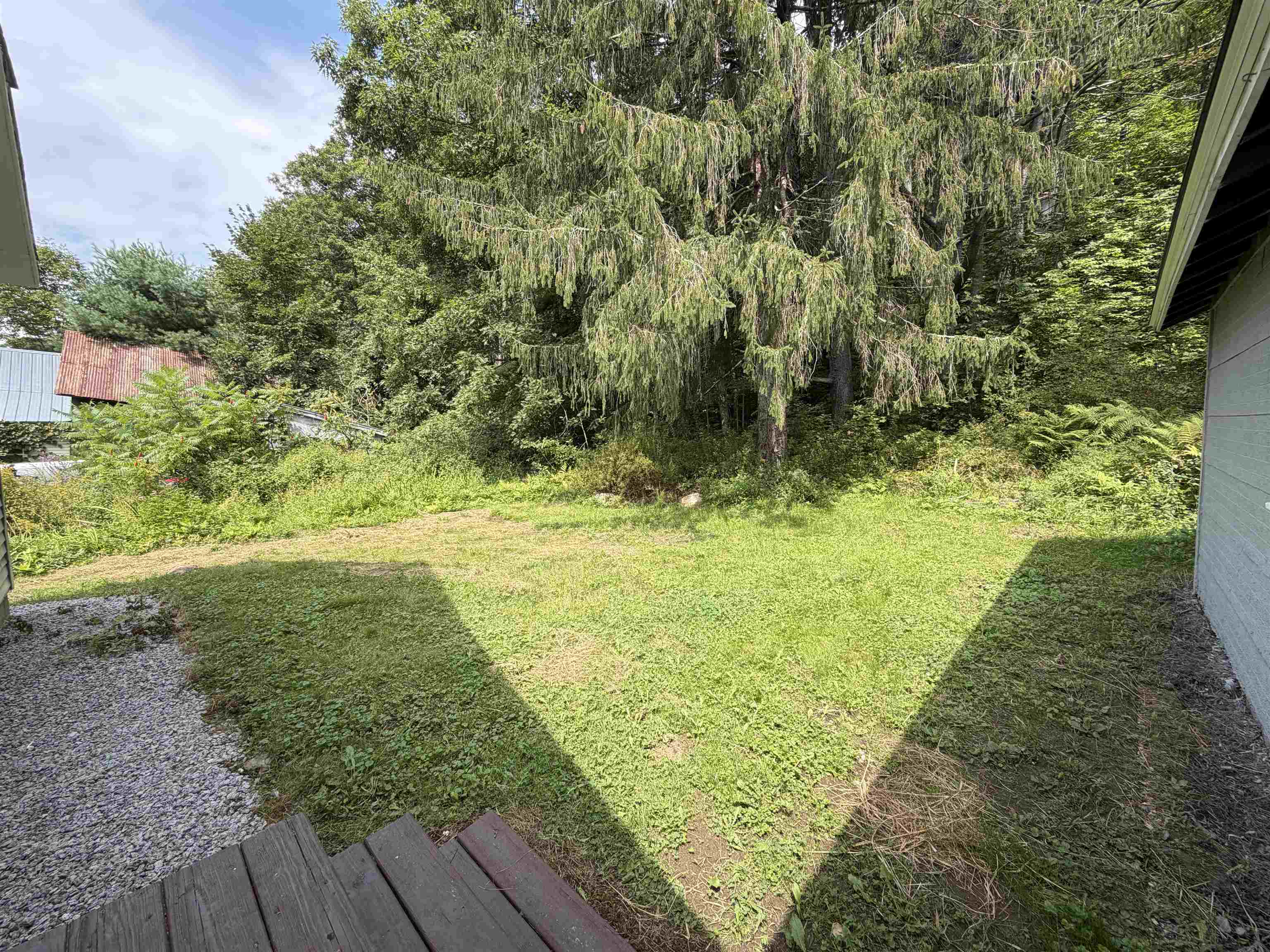 Back Yard