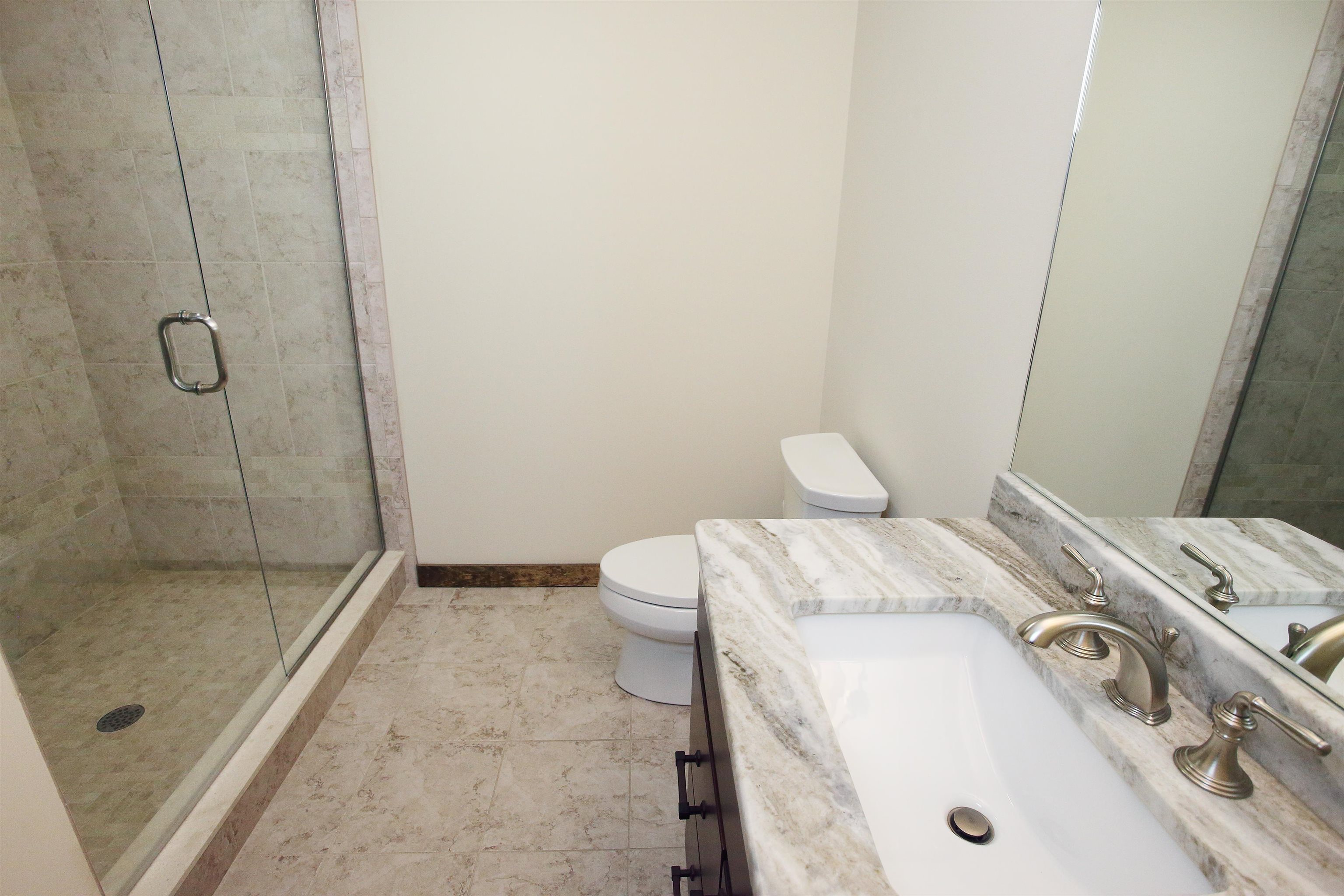 Lower level bathroom