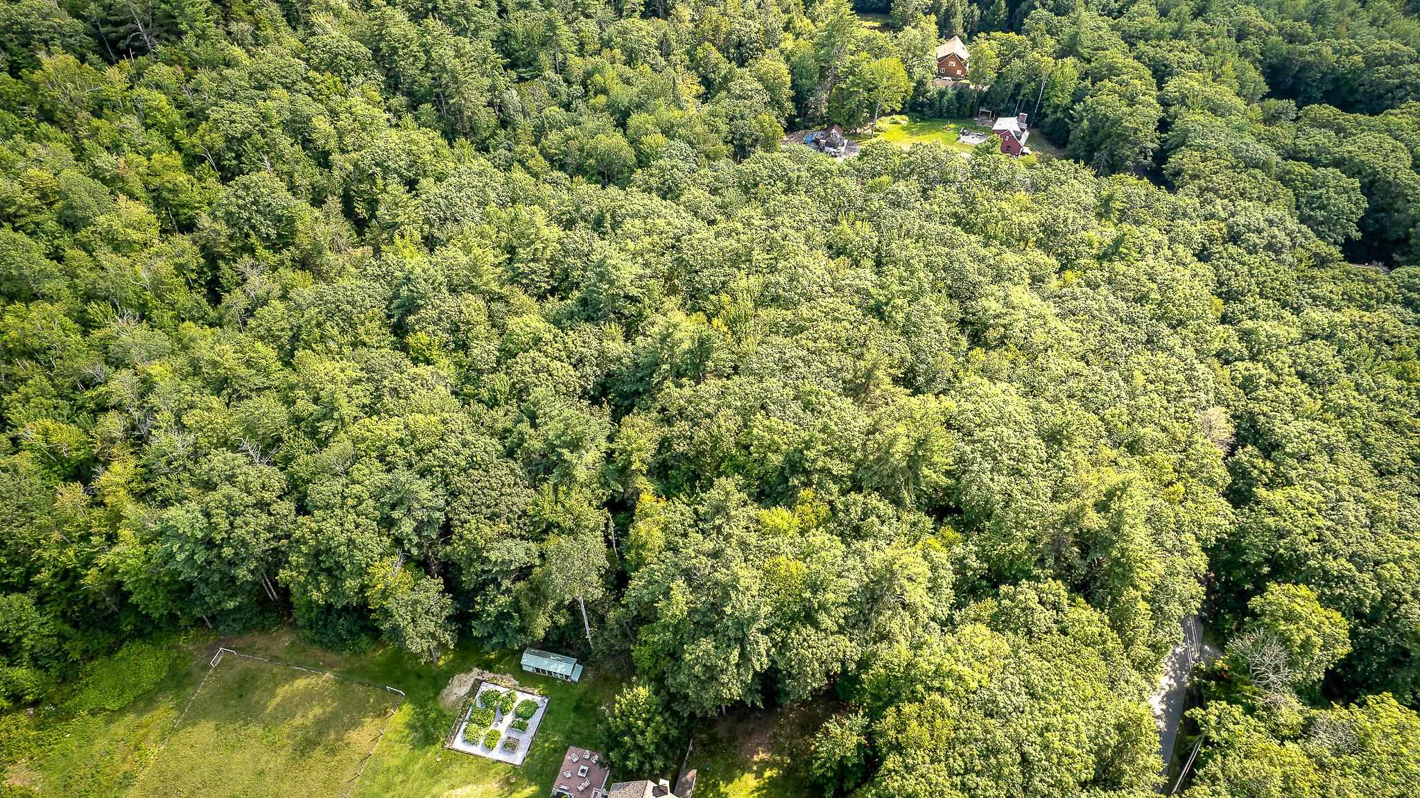 Great pic of the road and houses on each side
