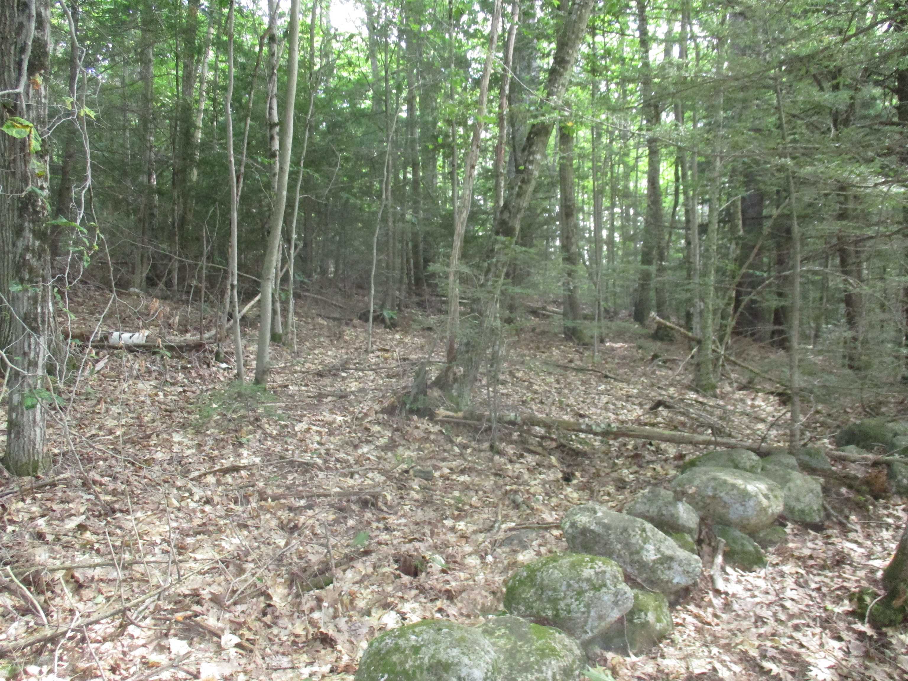 Slight slope and stone wall