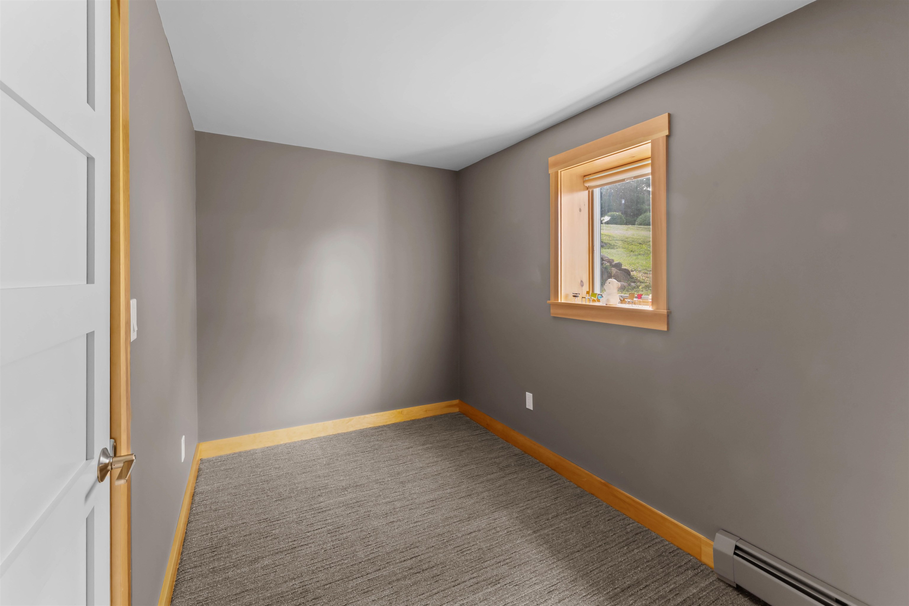 Lower Level Bedroom