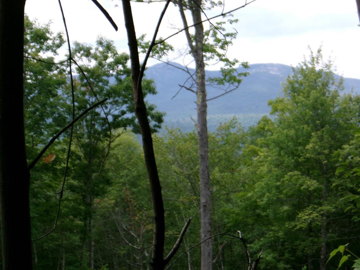 Views of Mt Cardigan