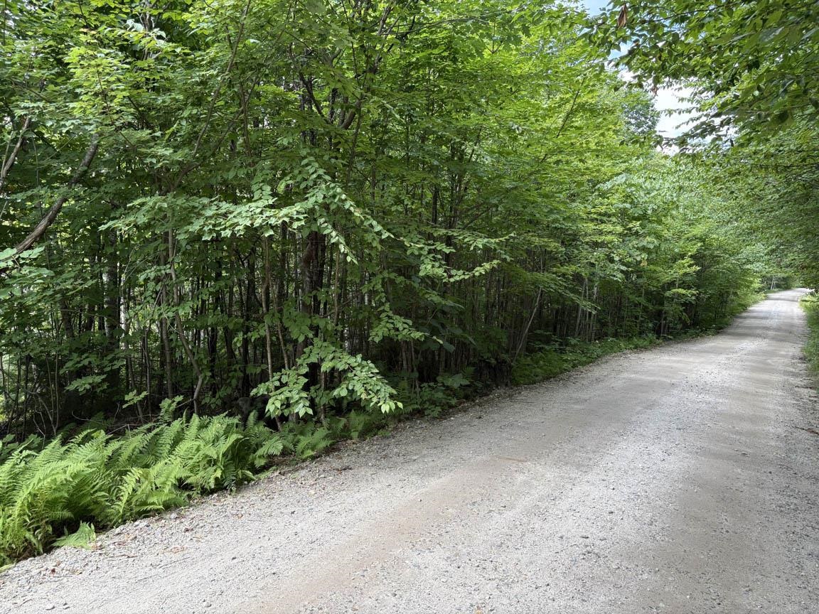 on Perkins Hill Road