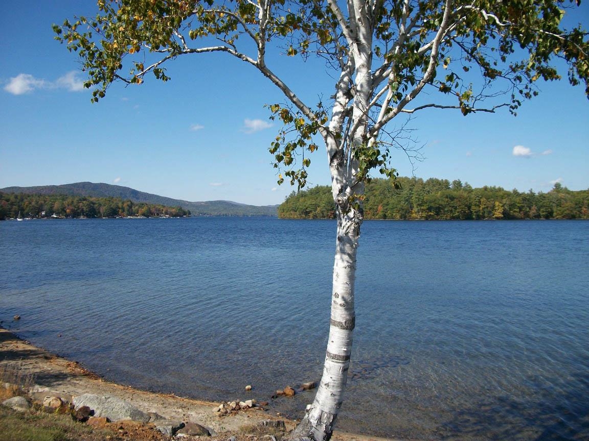 Convenient to Newfound Lake,