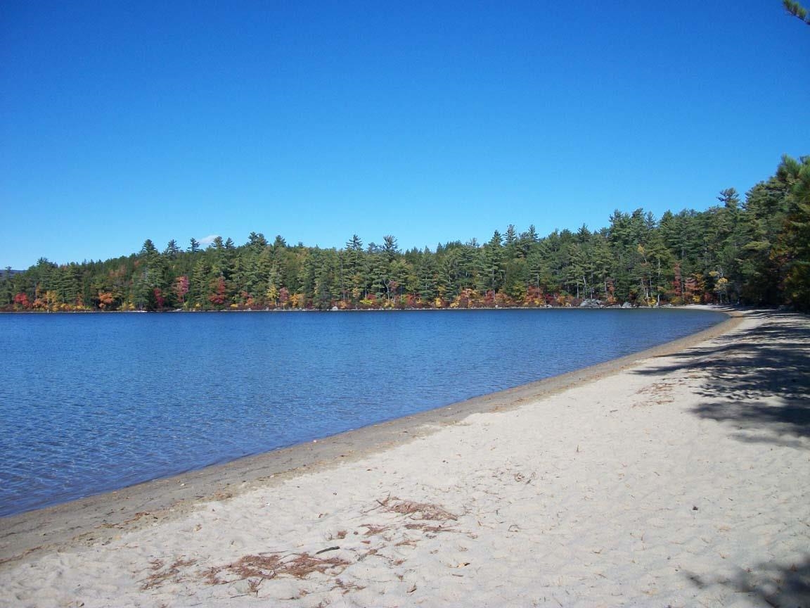 Wellington State Park beach,