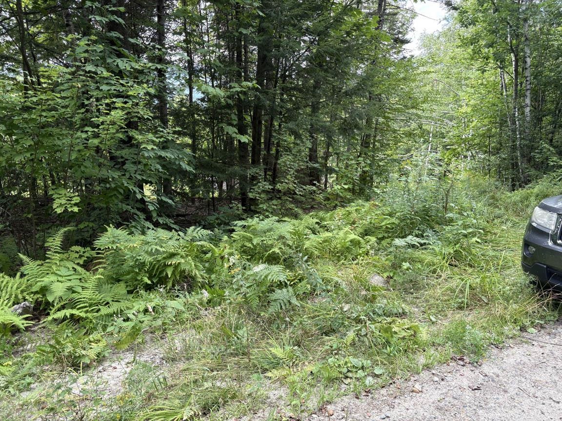 Proposed driveway access