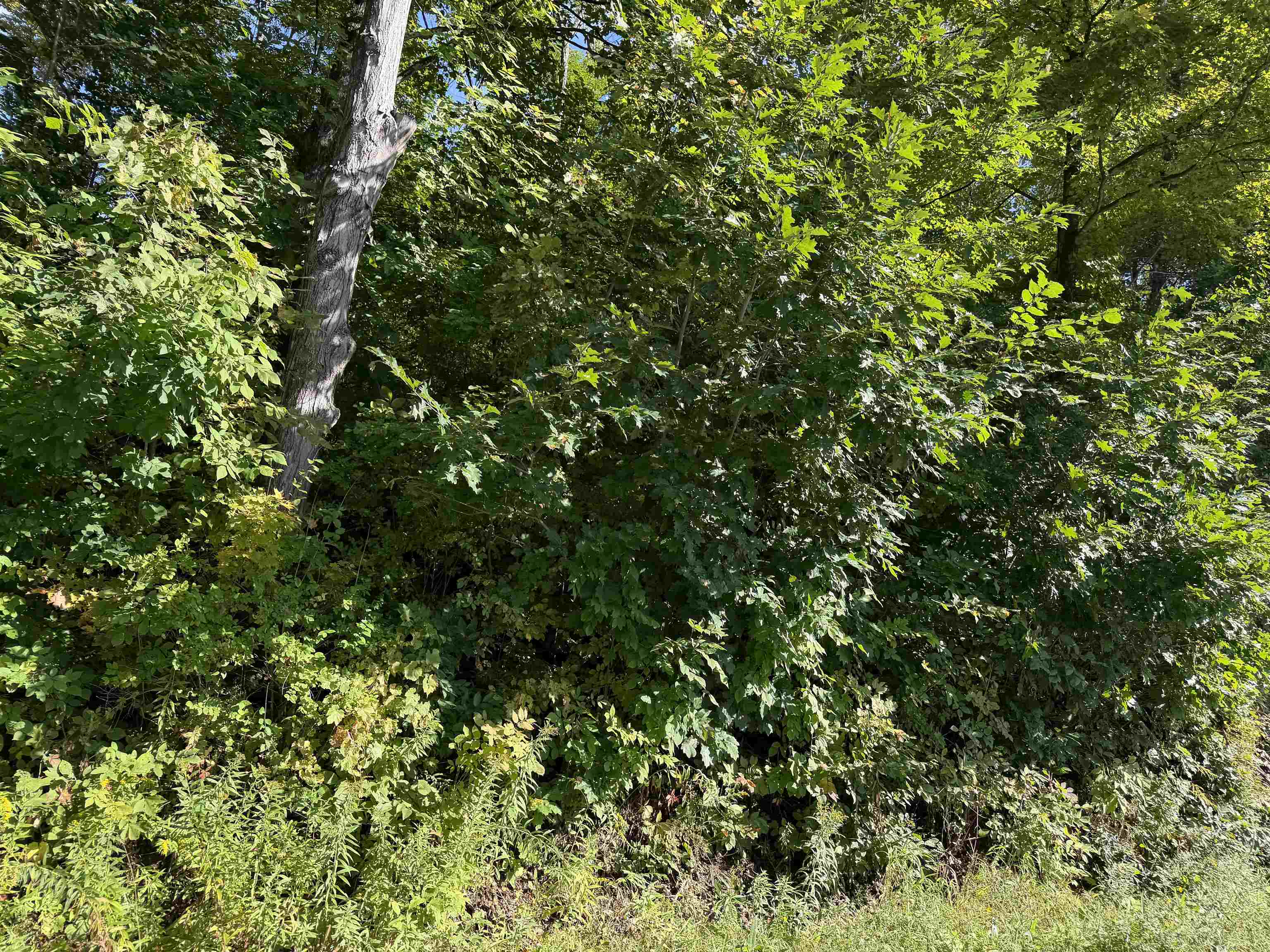 Photo 3 of Single family home for sale at 163 Murphy Dr, Fair Haven, VT 05743 | MLS# 5107489 | Listing updated on 2026-09-18