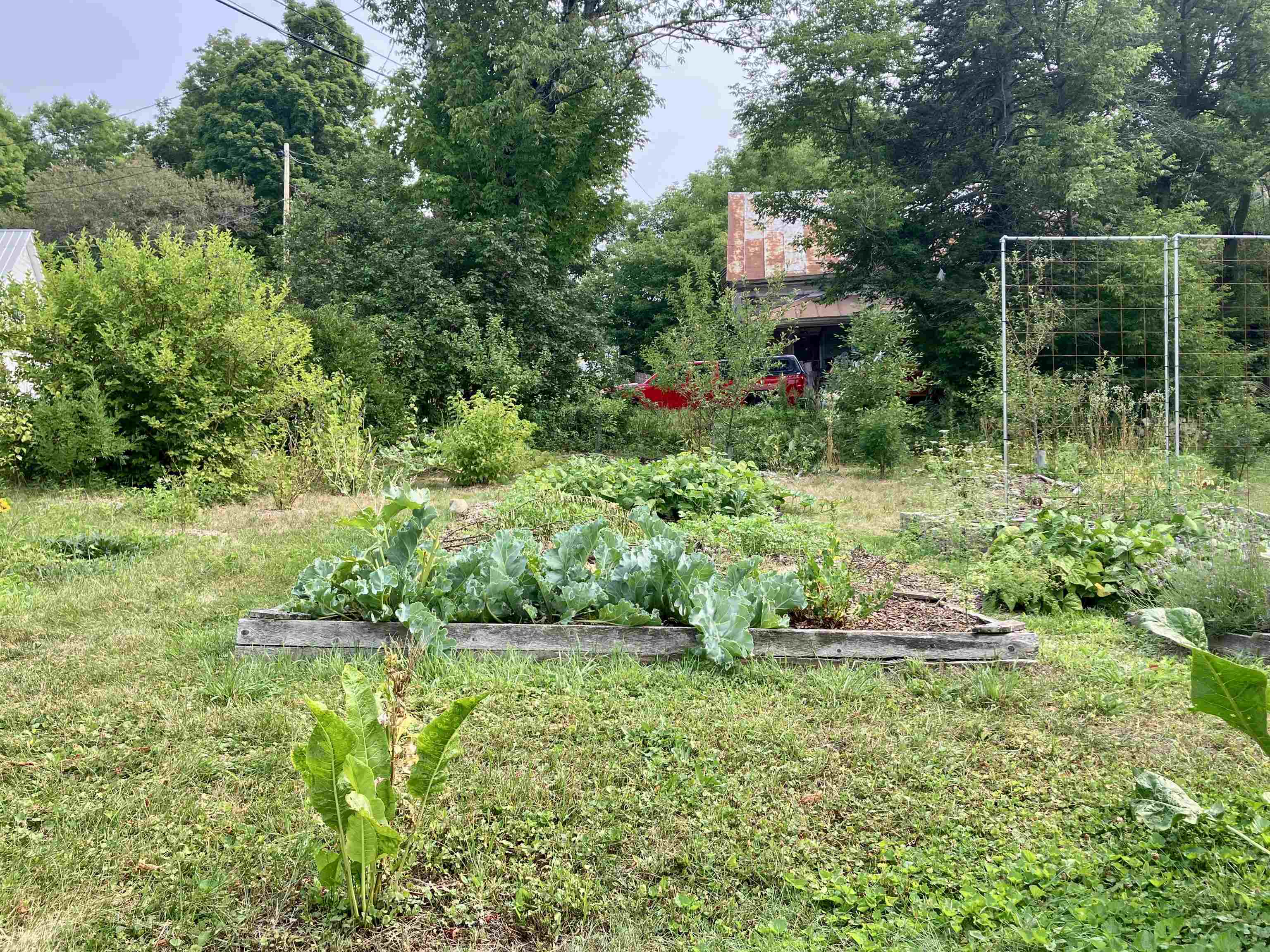 Ample room for gardens