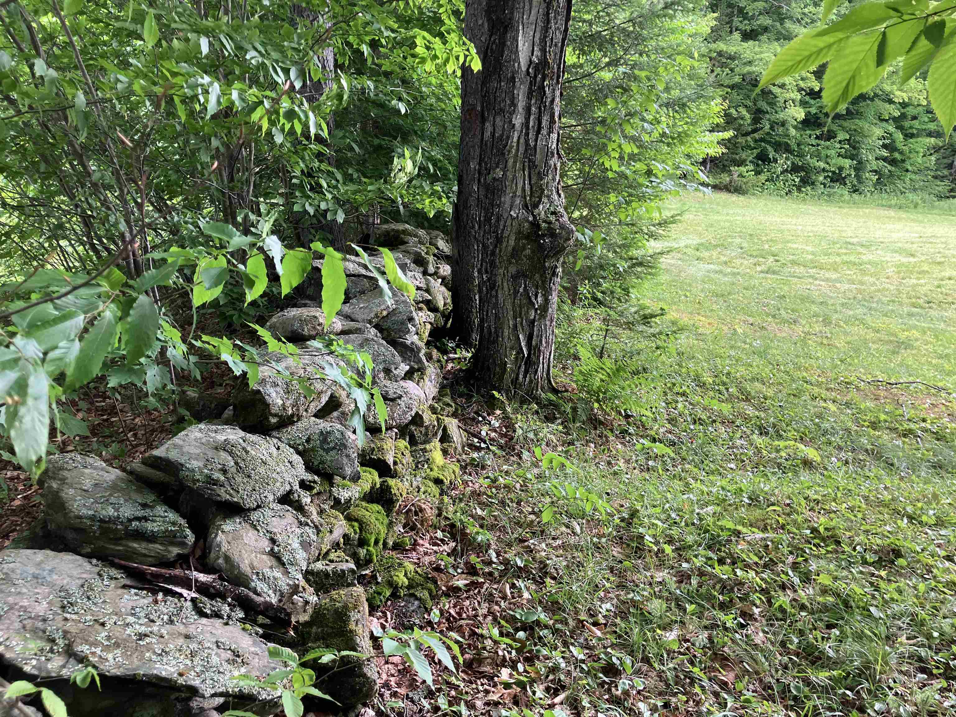 Photo 3 of Land for sale at 571 Wheeler Rd, Northfield, VT 05663 | MLS# 5107792 | Listing updated on 2026-10-05