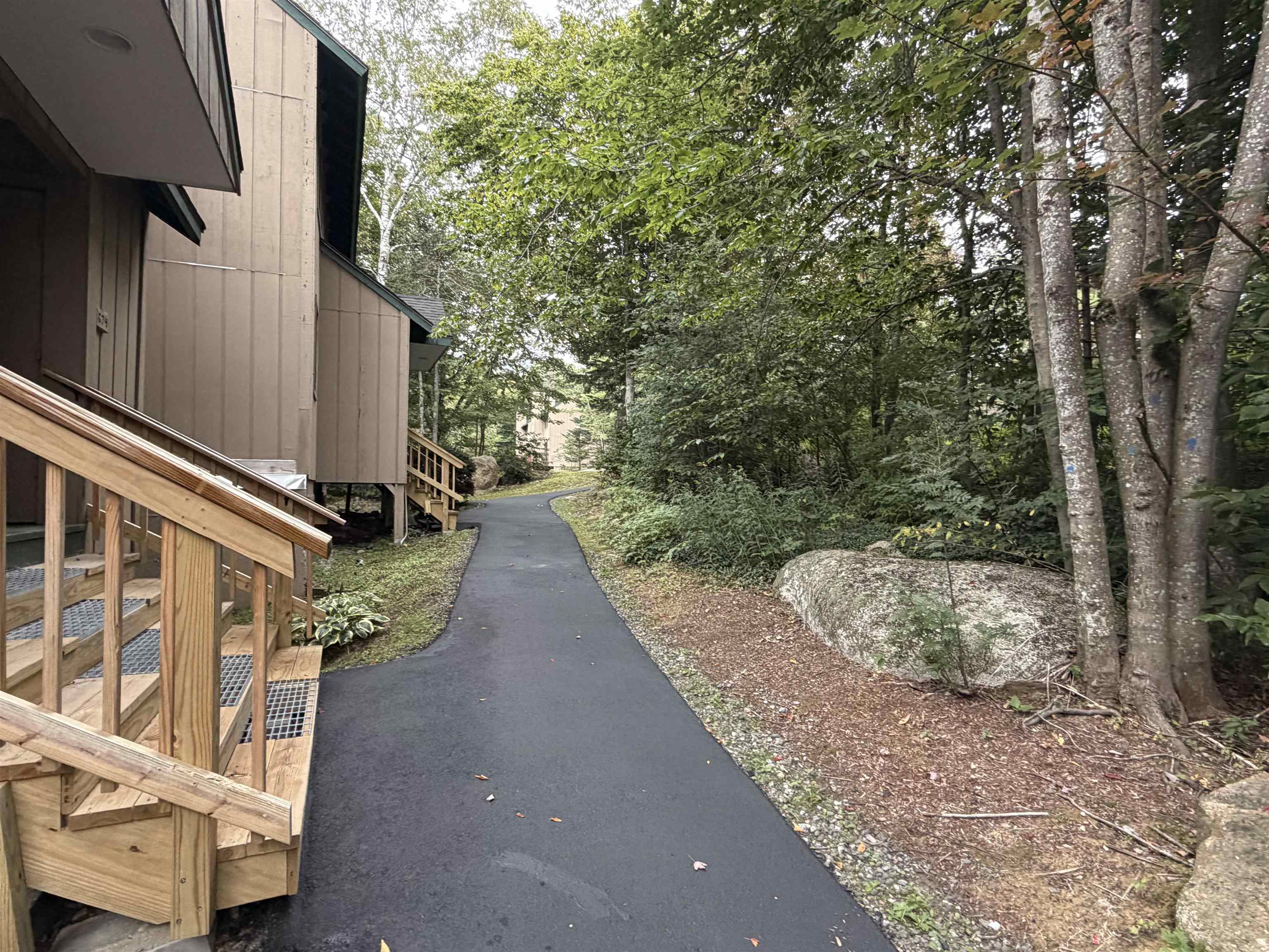 Quiet wooded area at condo