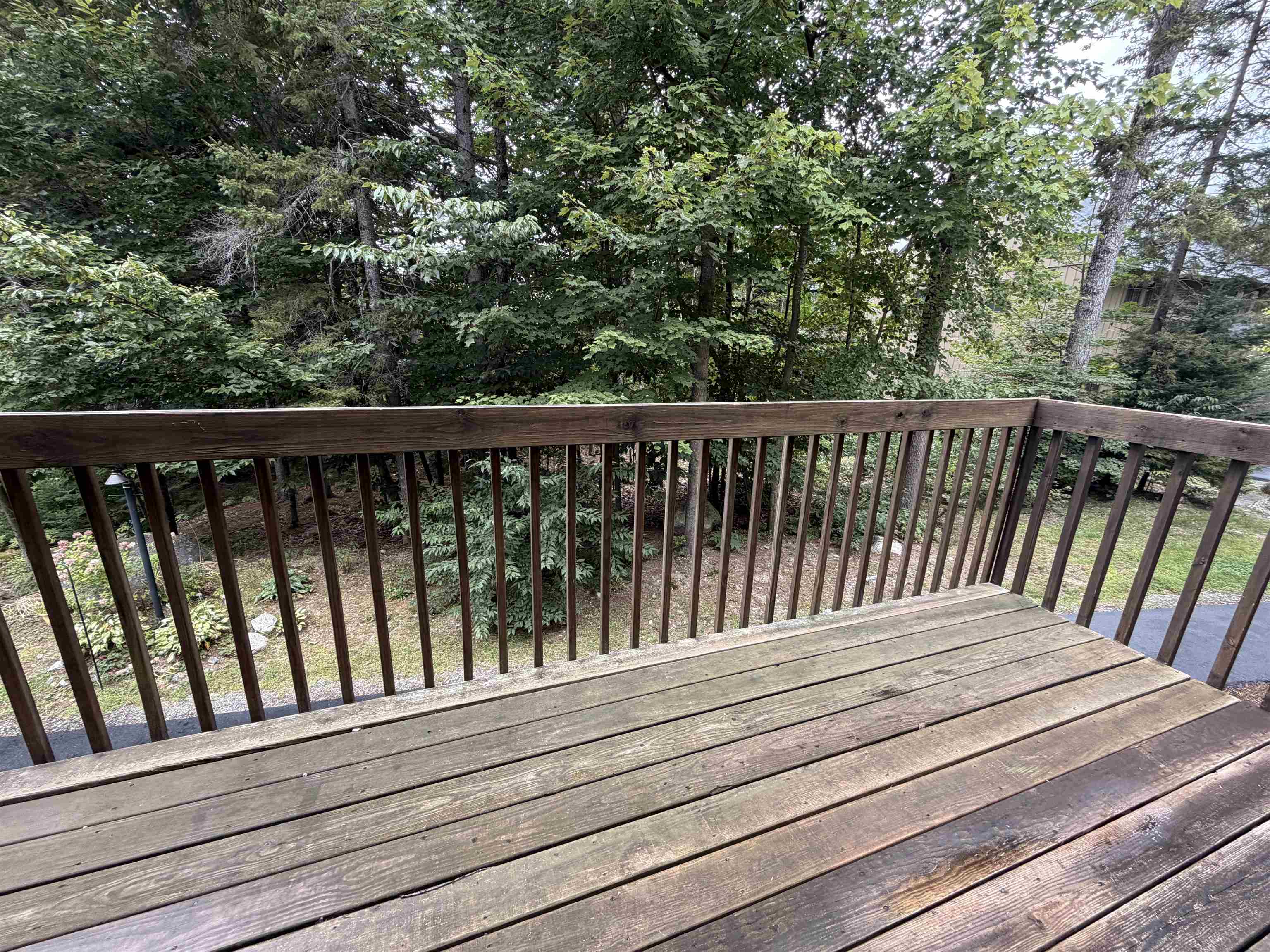 Private deck overlooking the trees