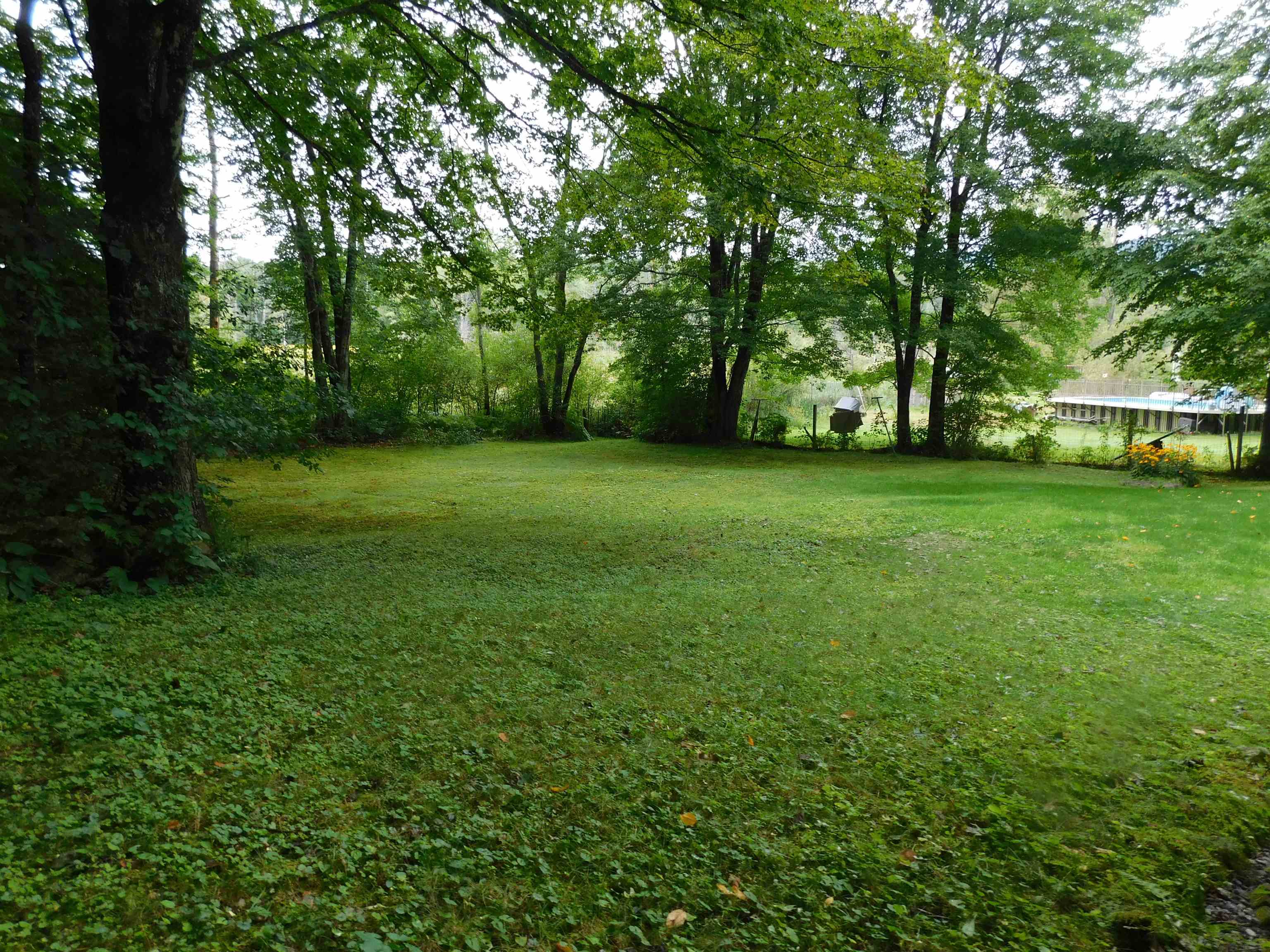 back yard 26138910
