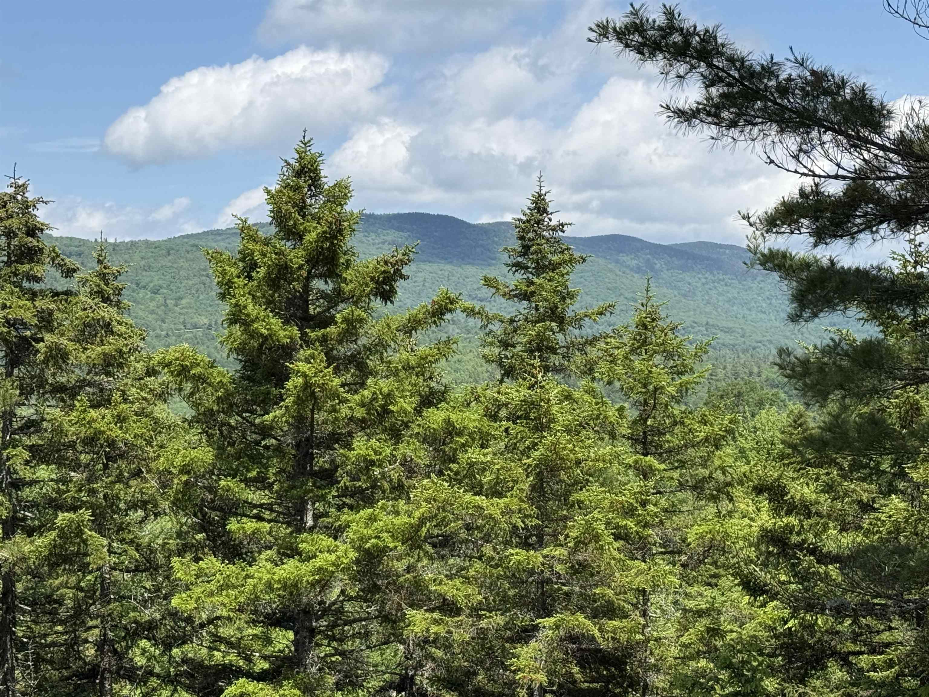 Lot 15 Kelly Way, Campton, NH photo 3