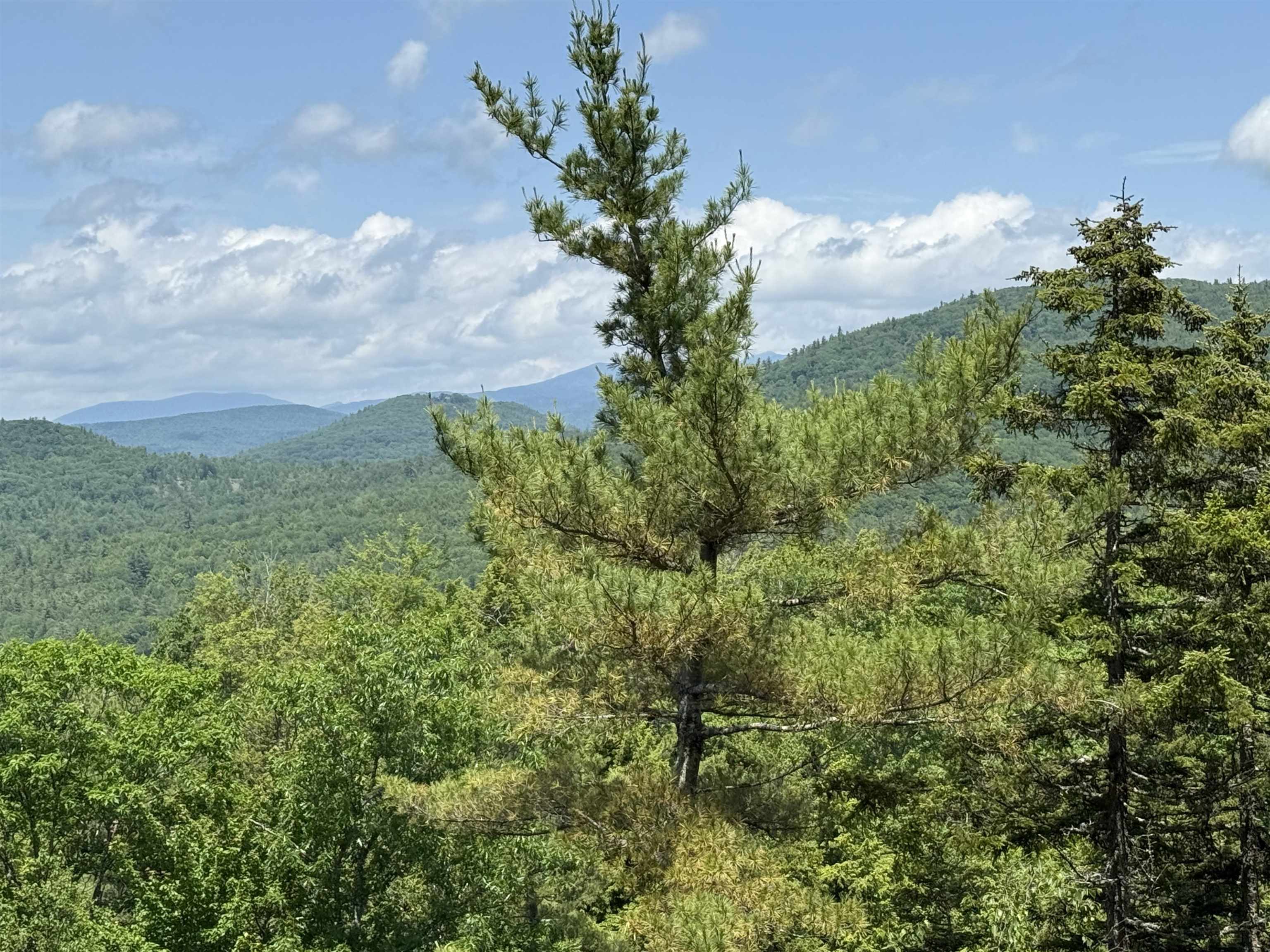 Lot 15 Kelly Way, Campton, NH photo 4