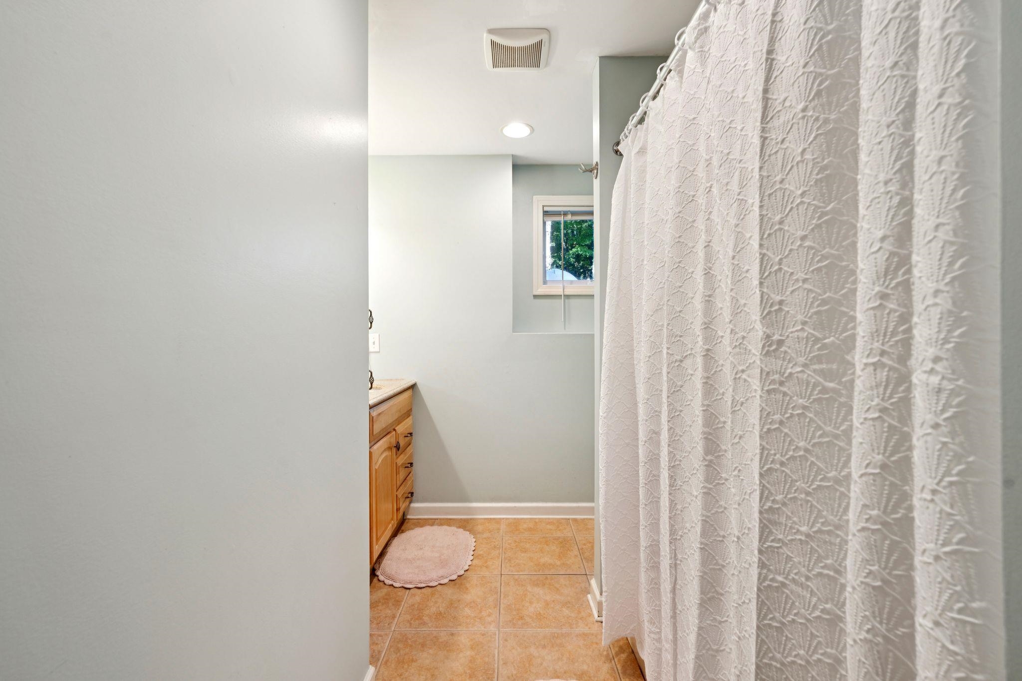 Basement Bathroom