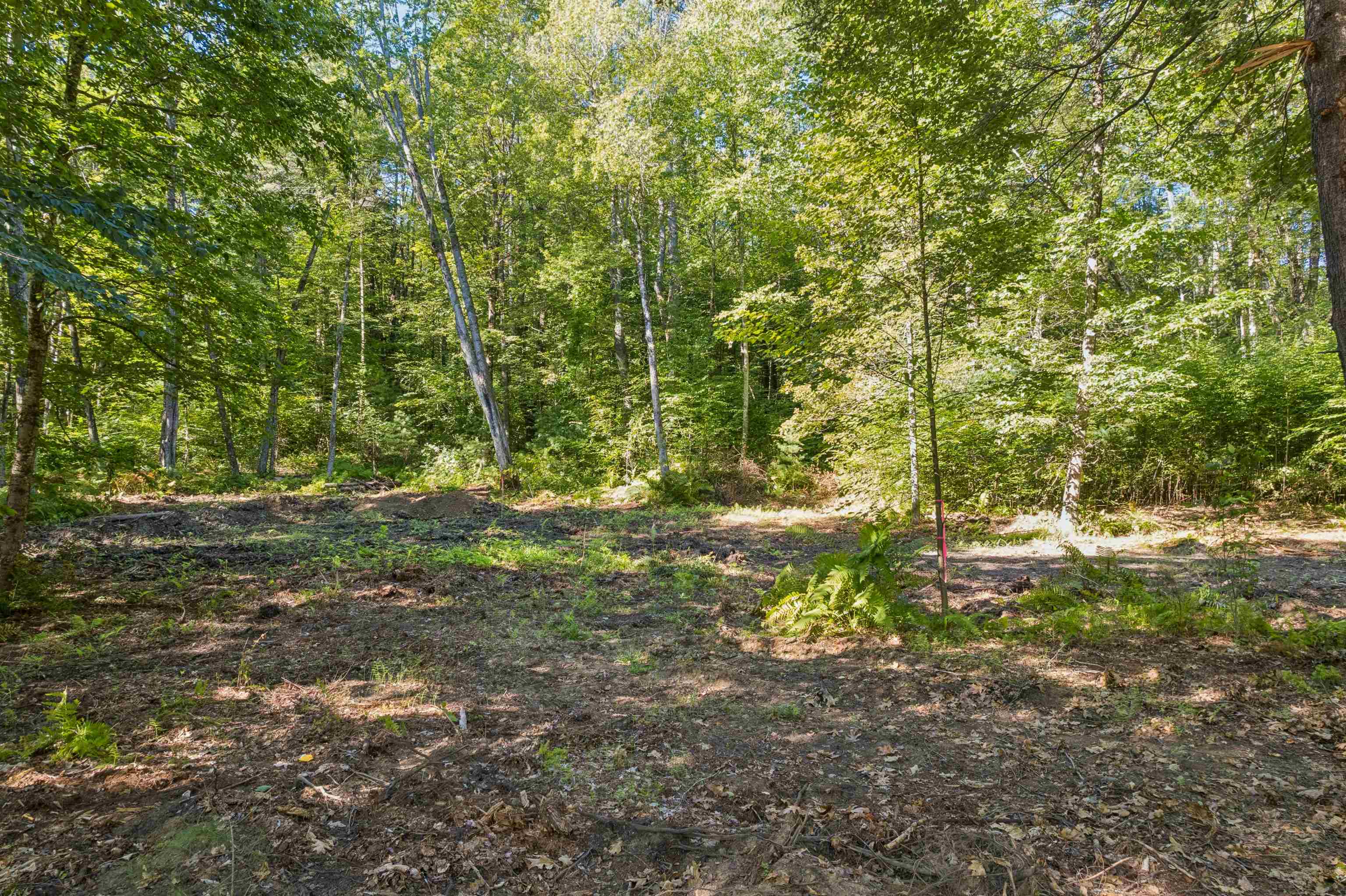 Potential yard space 26155193