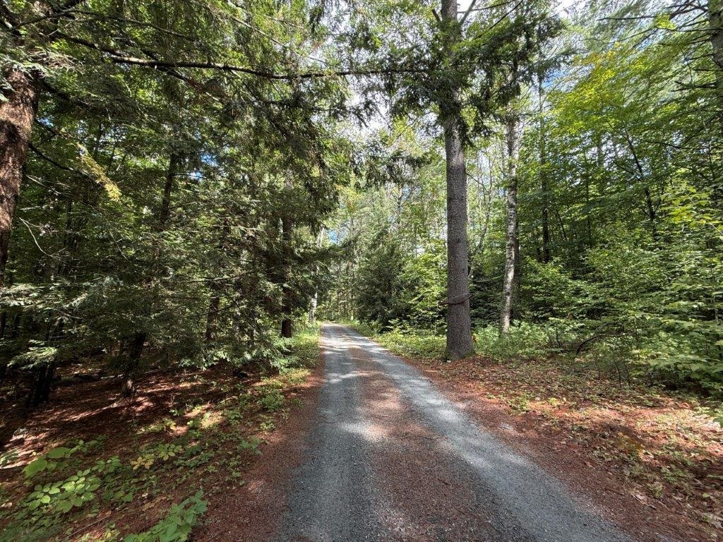 Your Driveway 26153094