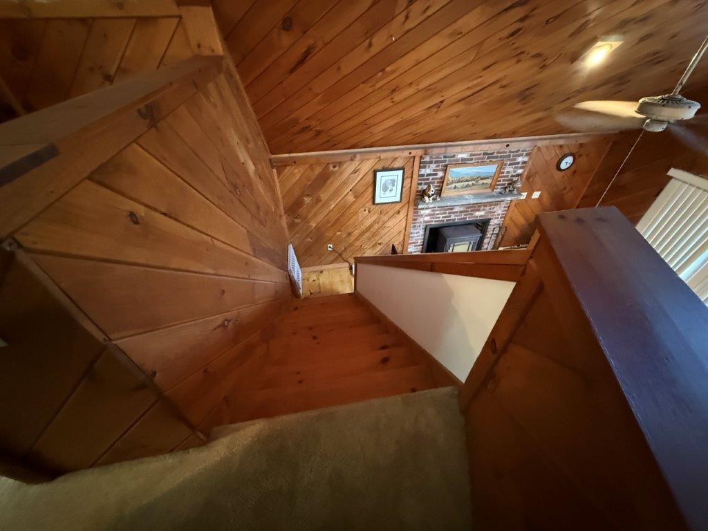 26156587