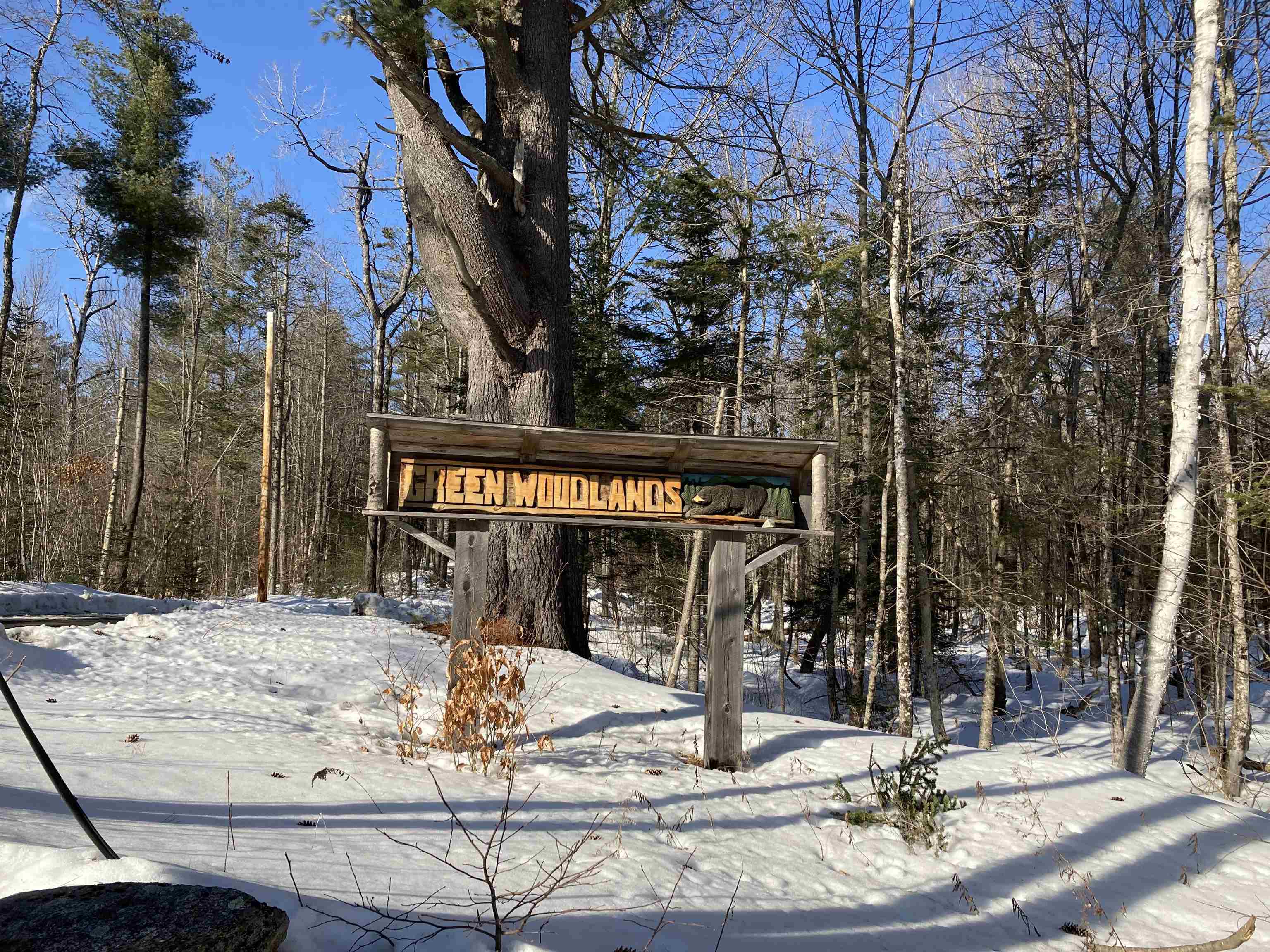 Ski/Mtn Bike Gree Woodlands Nearby 26170956