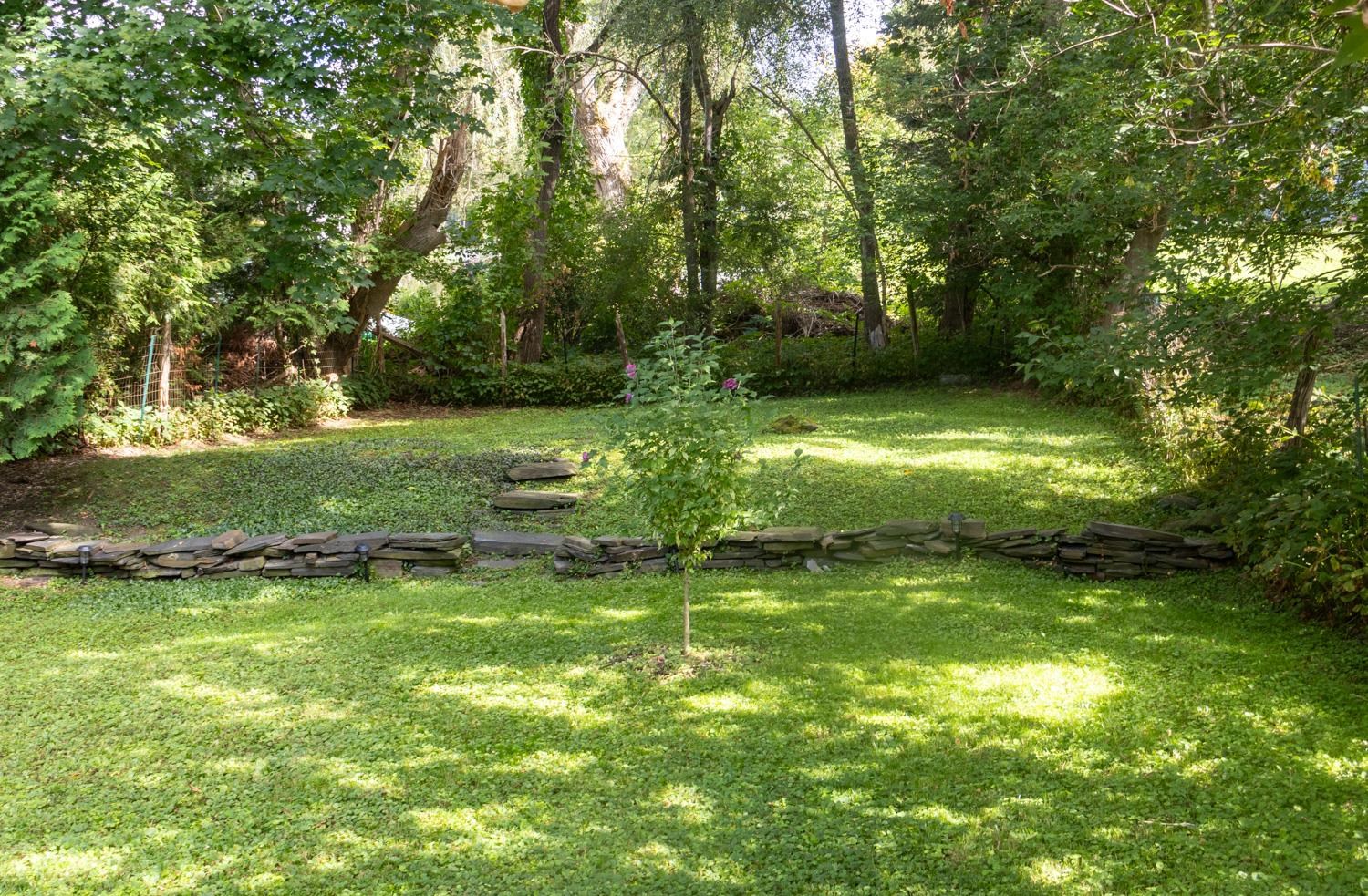 Backyard is the epitome of an urban oasis