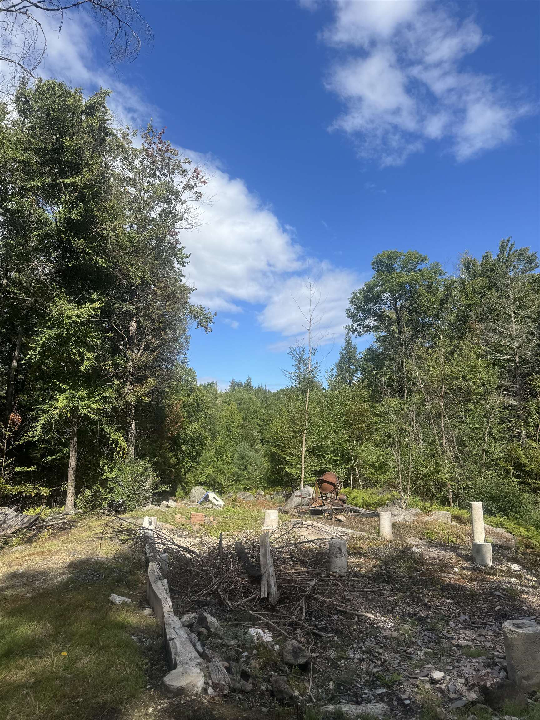 View from home site to wetland 26179696