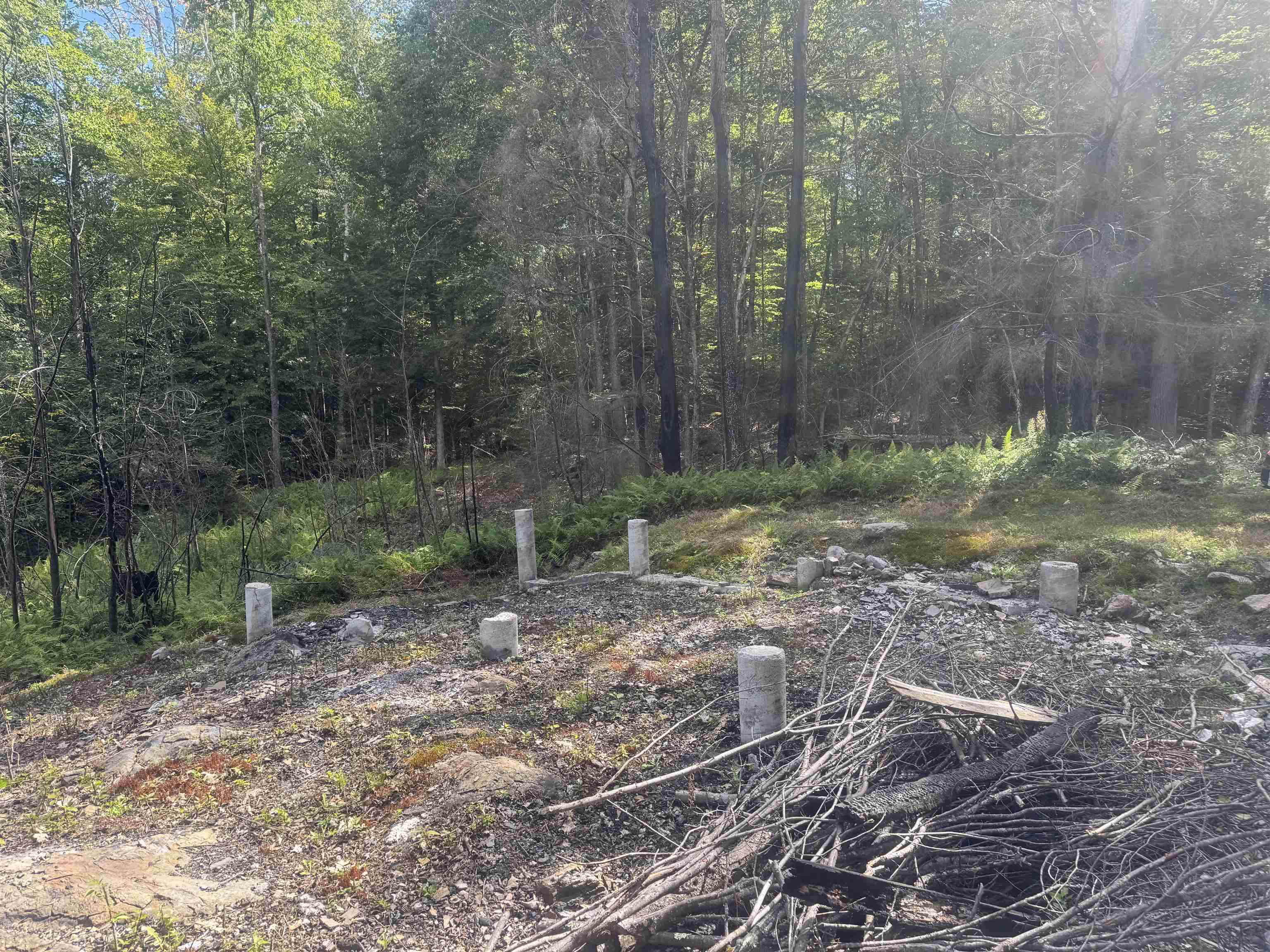 Former home site 26179687