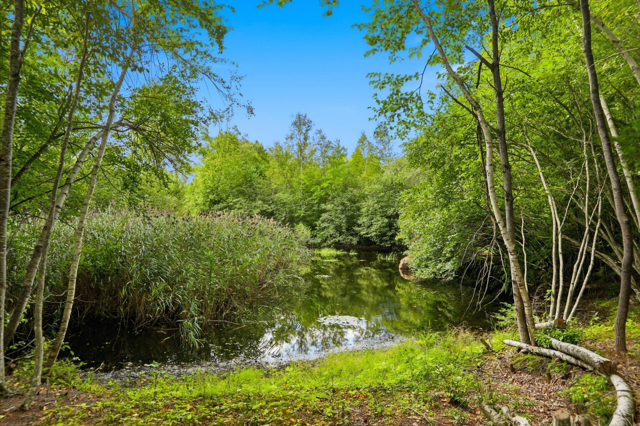 Common Land pond