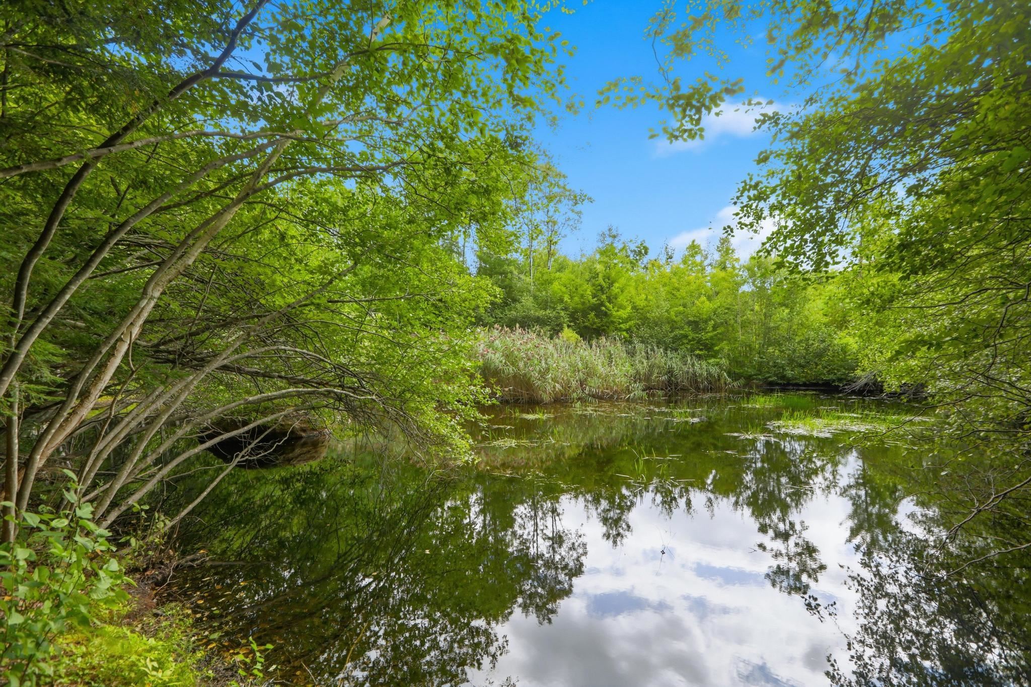 Common Land Pond