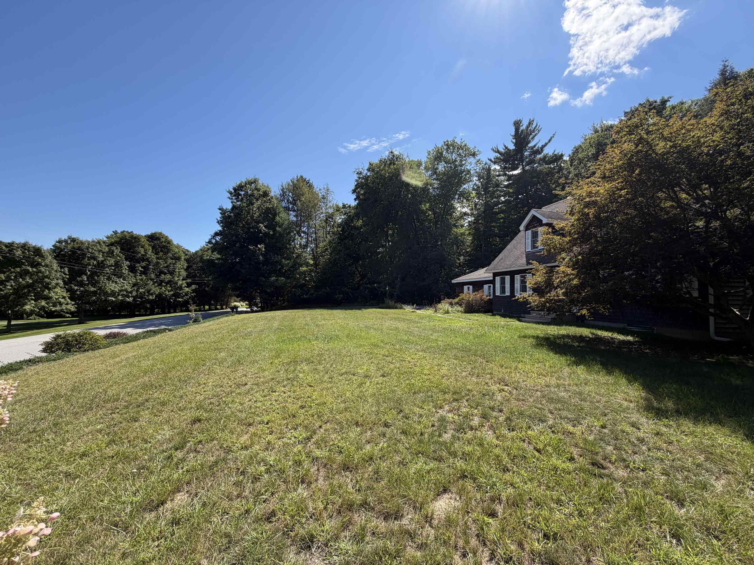 front lawn looking south