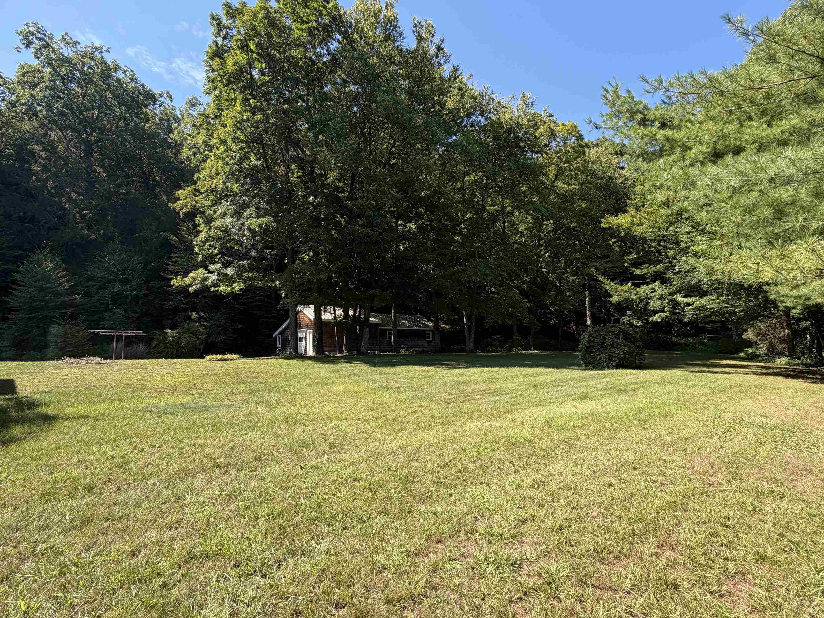 side yard looking toward 2nd parcel (.38 acre)