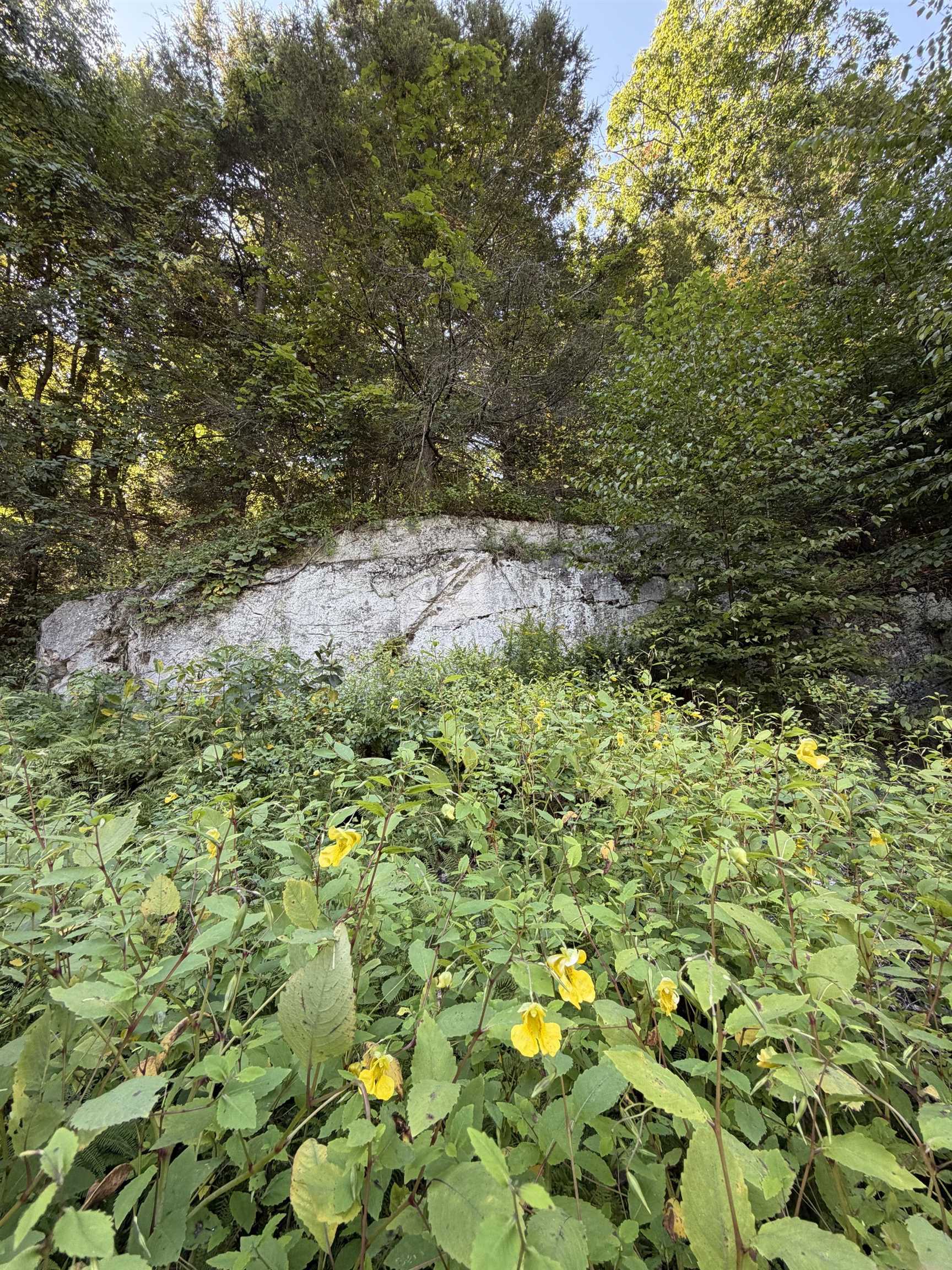 Wait until you see this HUGE boulder!
