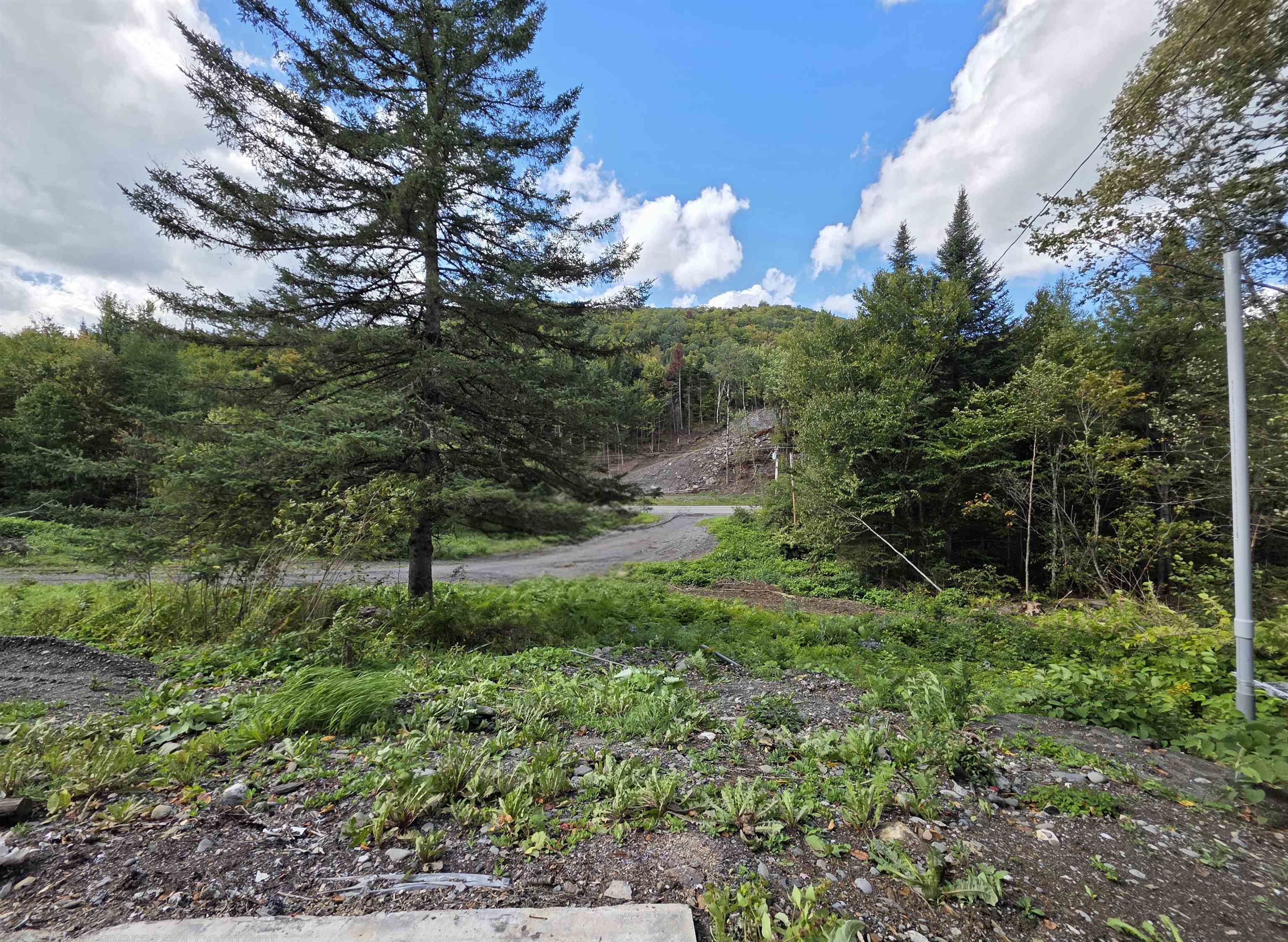 Photo 2 of Land for sale at 164 Hollow Rd, Stewartstown, NH 03576 | MLS# 5109346 | Listing updated on 2026-10-08