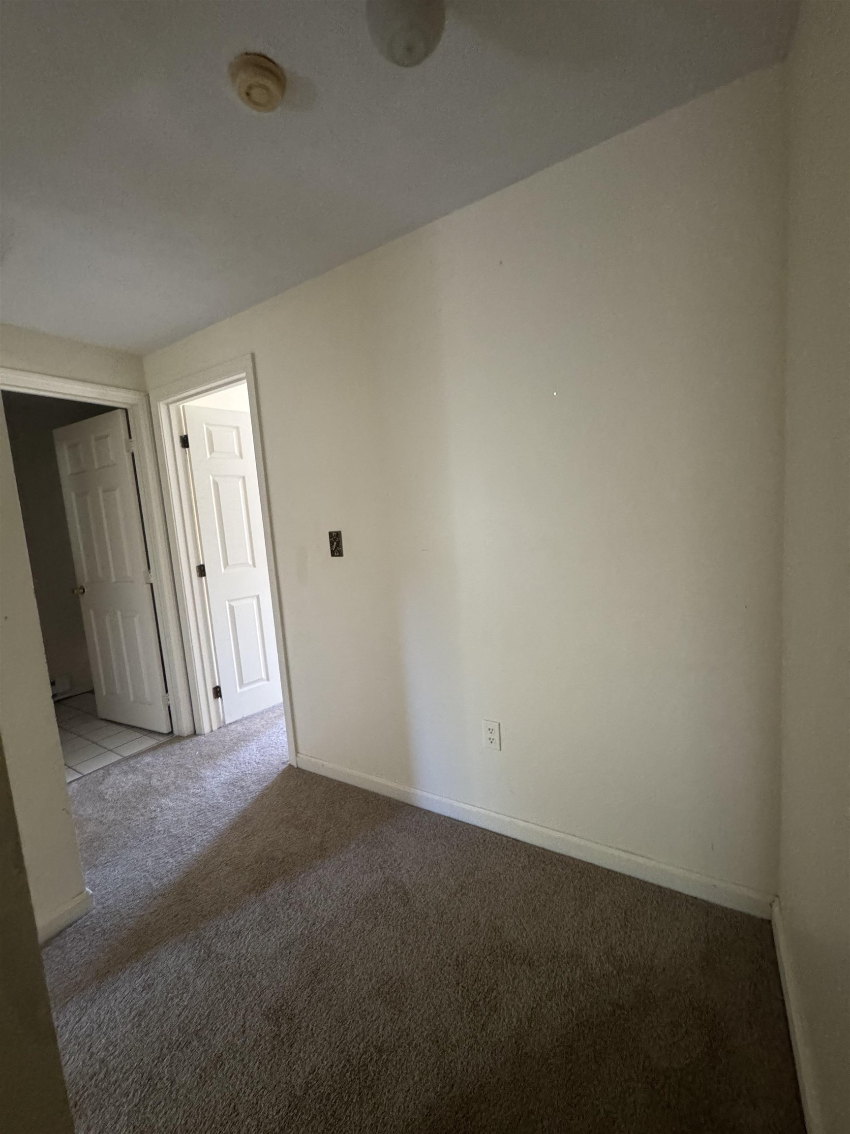 Photo 24 of 25