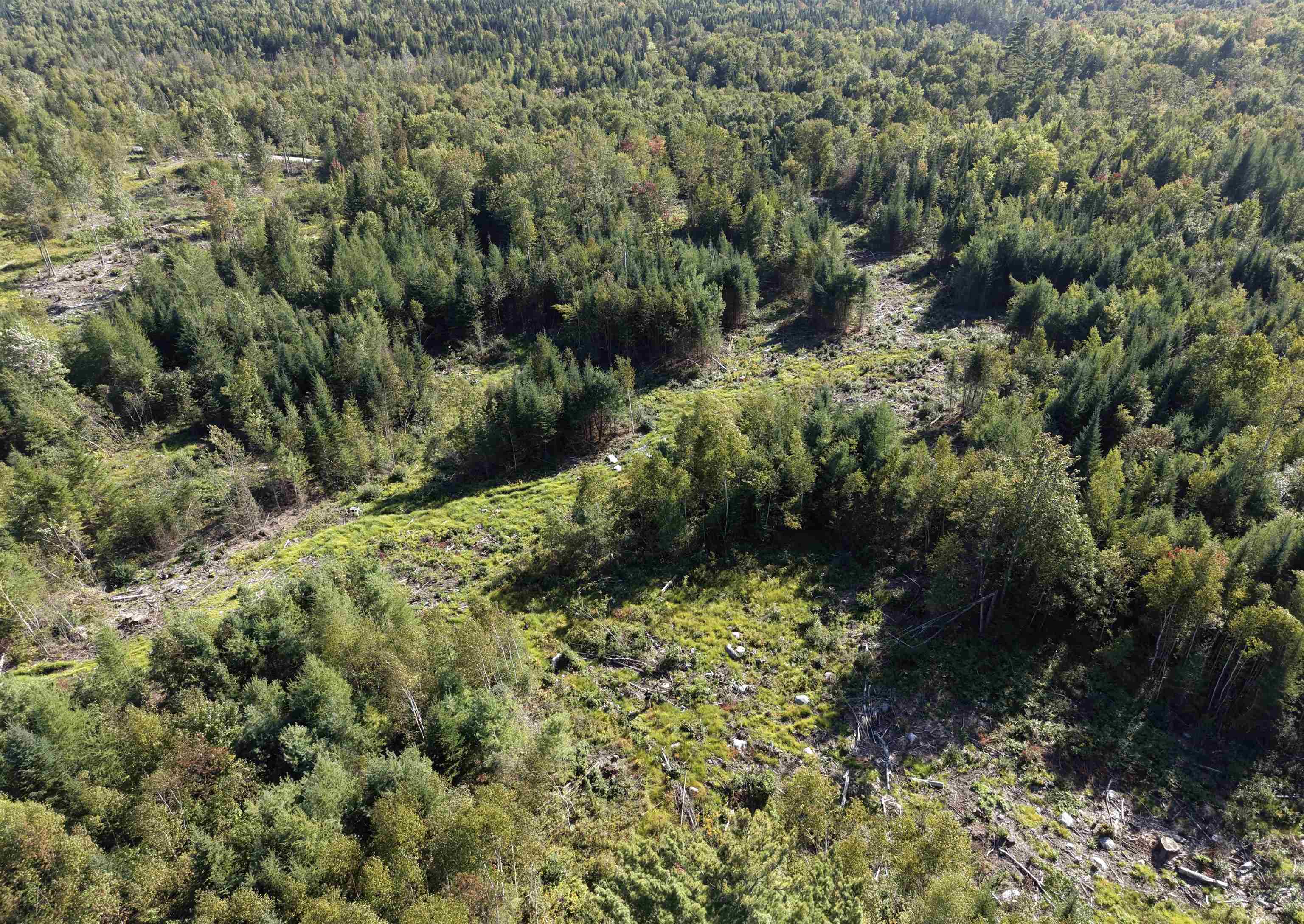 Photo 3 of Land for sale at Morin Rd, Guildhall, VT 05905 | MLS# 5109501 | Listing updated on 2026-09-12
