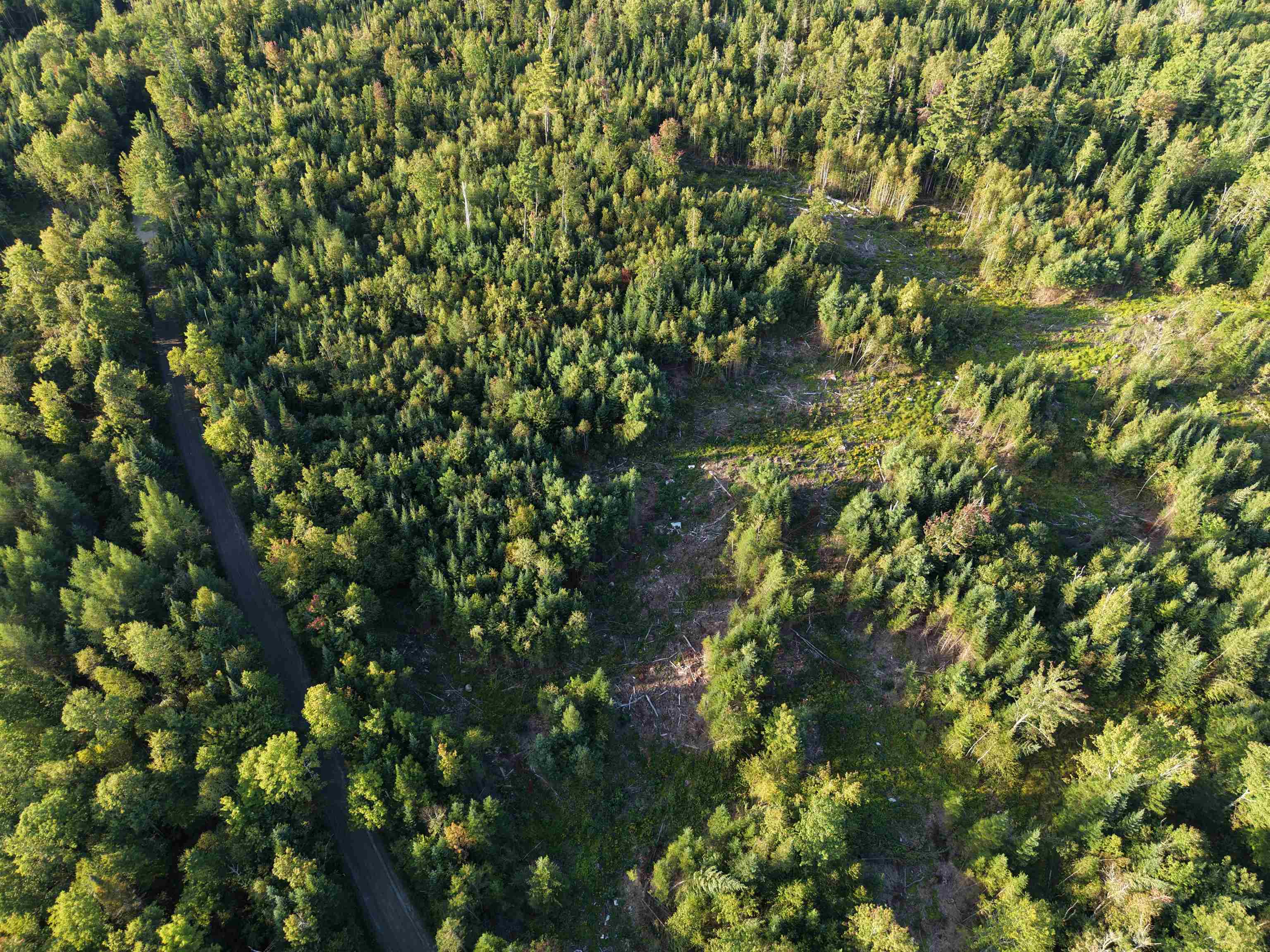Photo 3 of Land for sale at Morin Rd, Guildhall, VT 05905 | MLS# 5109501 | Listing updated on 2026-09-12