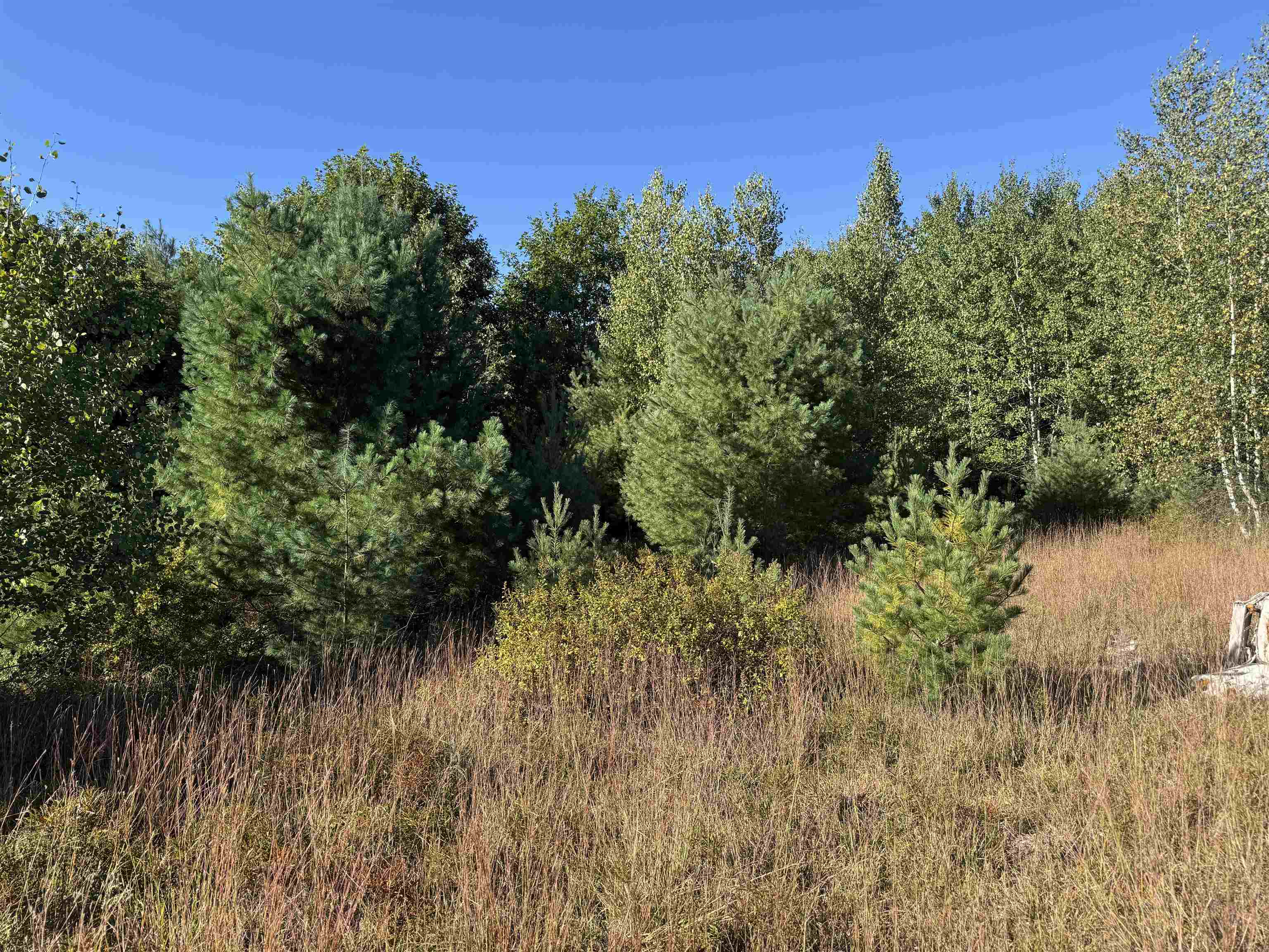 open space