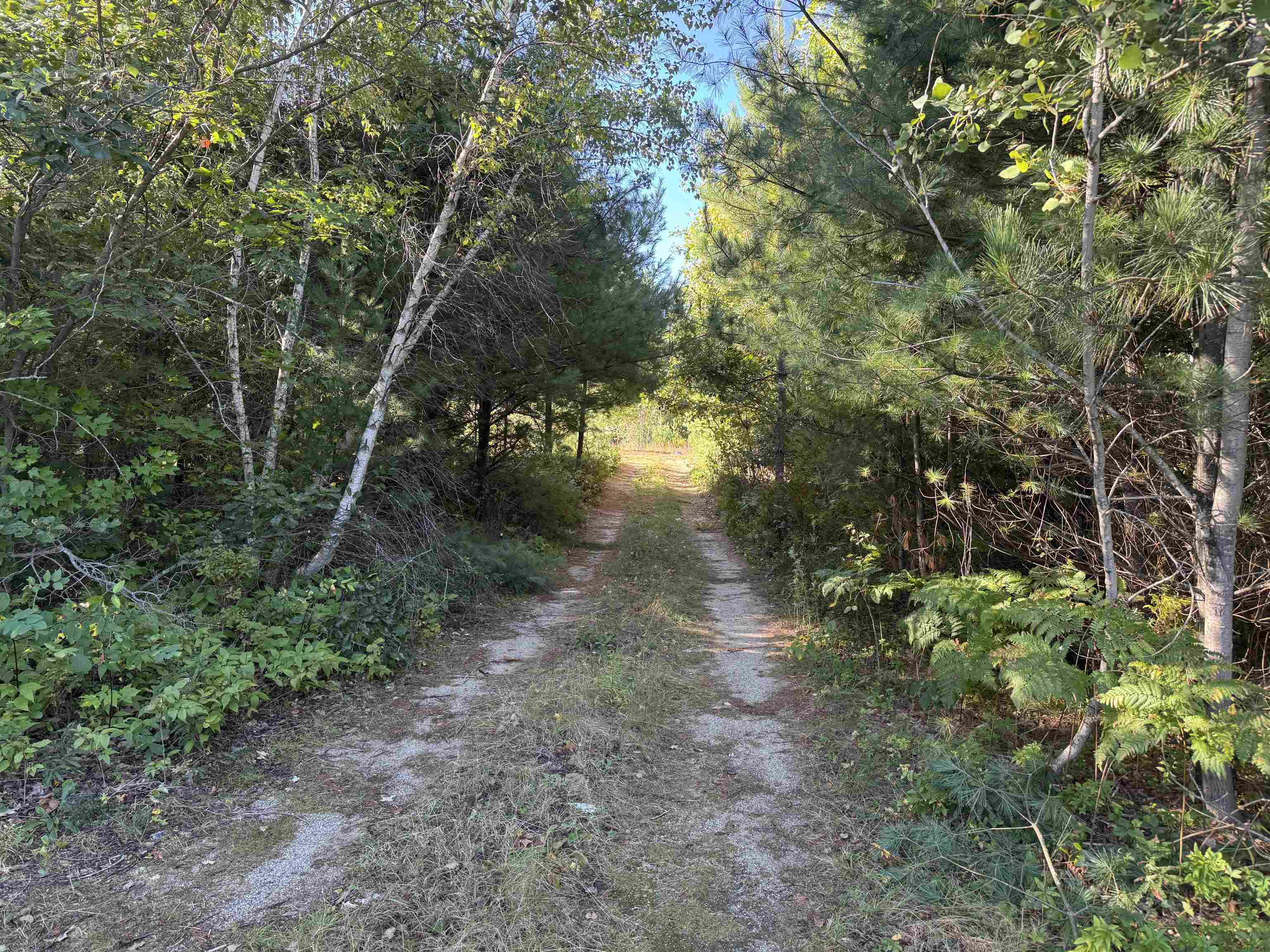 up this driveway