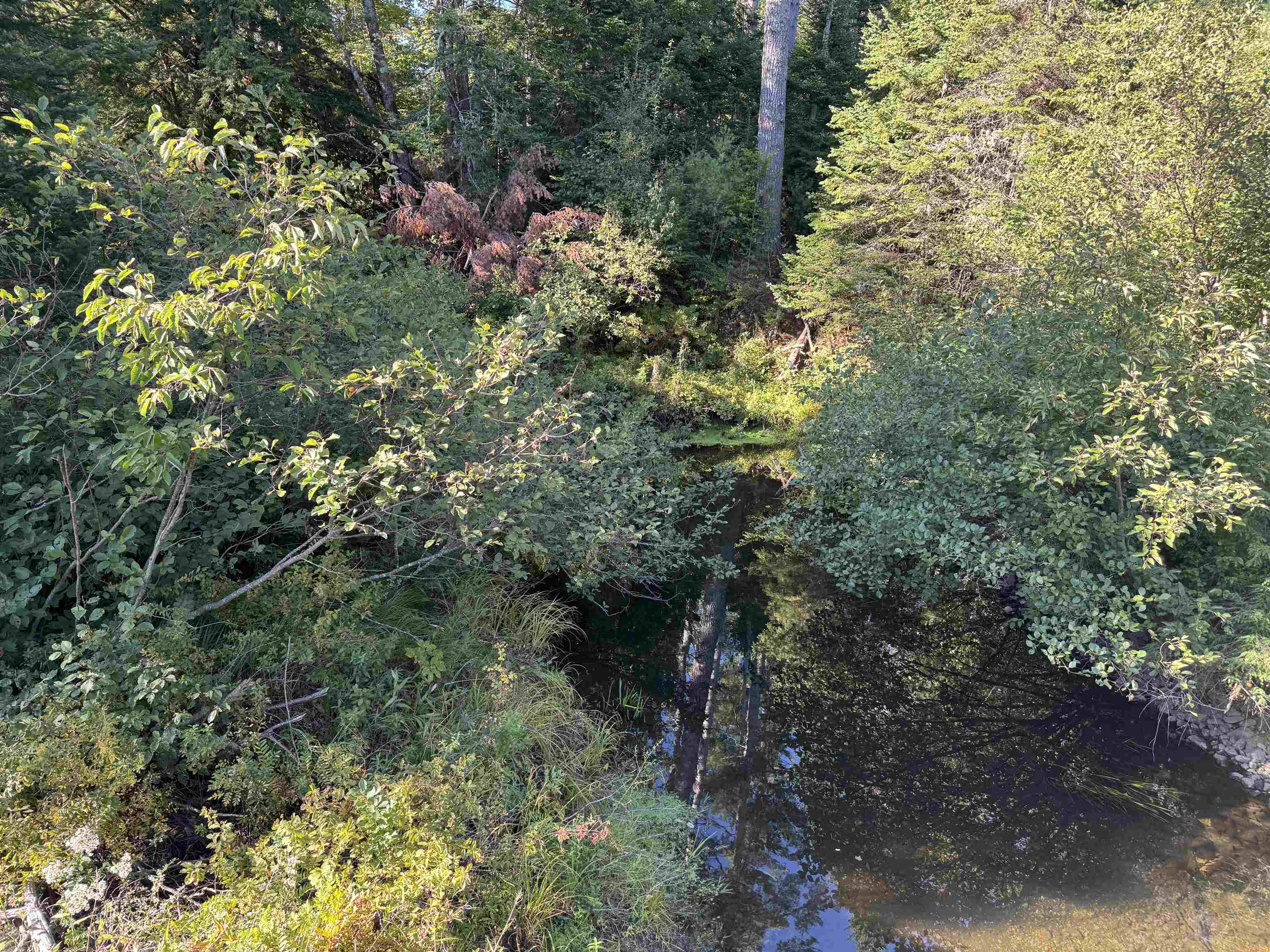 the Pine River on you boundary