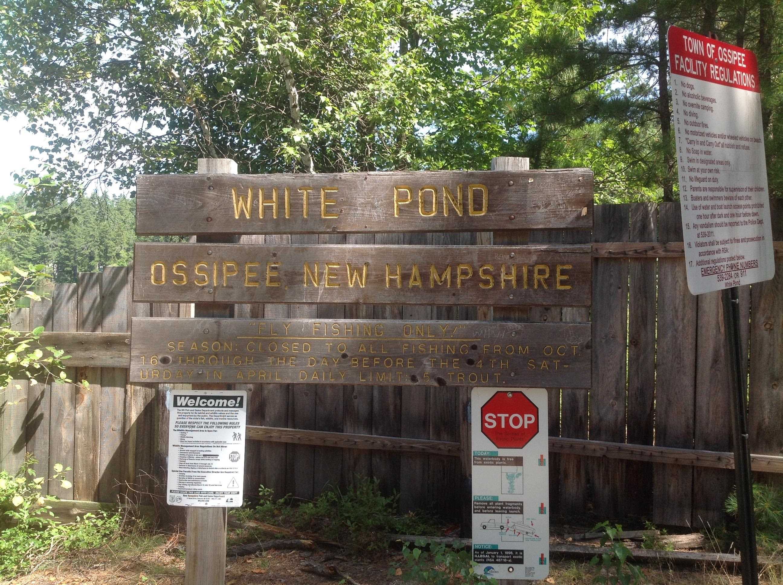 White Pond