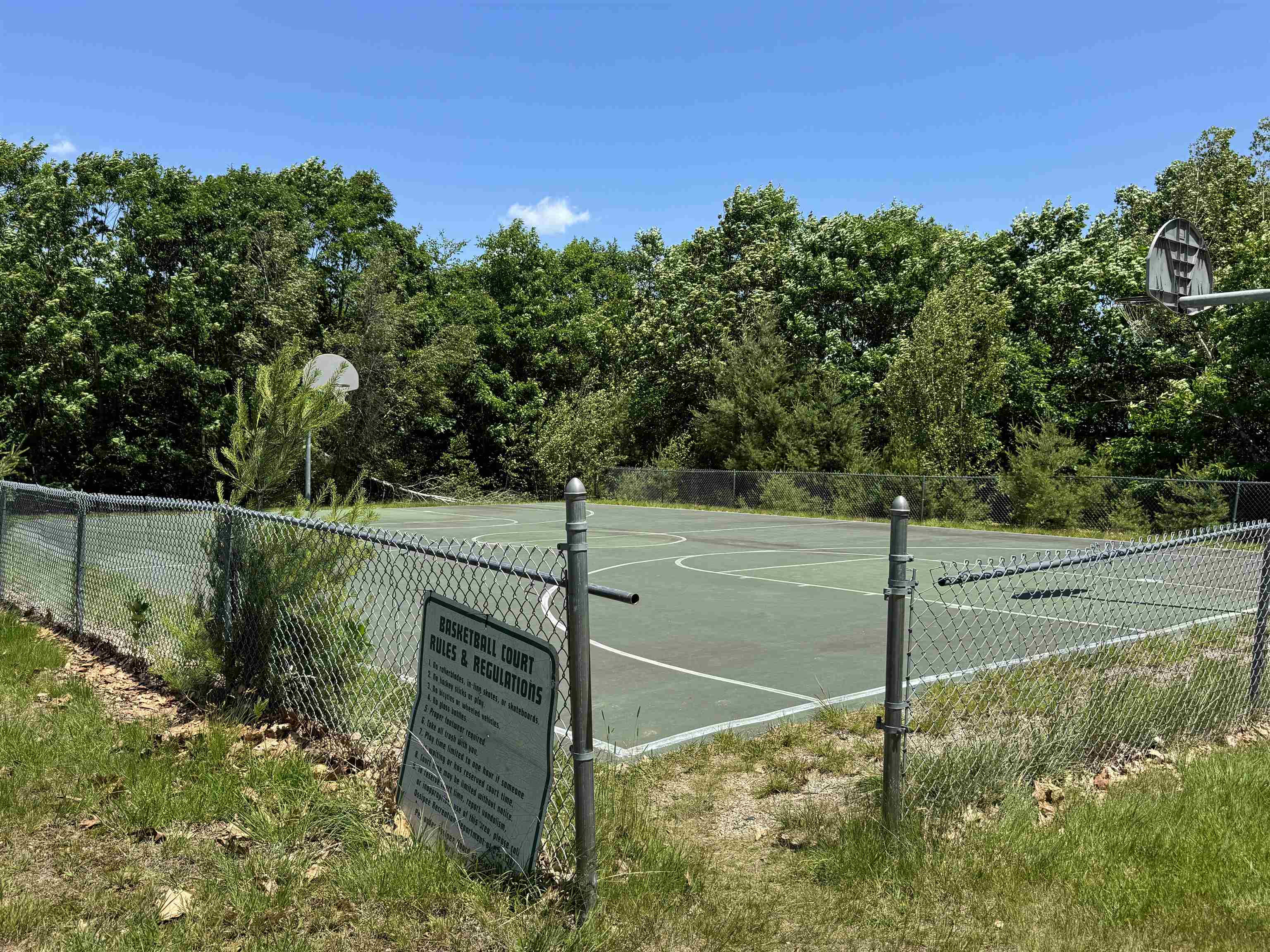 Village ball fields