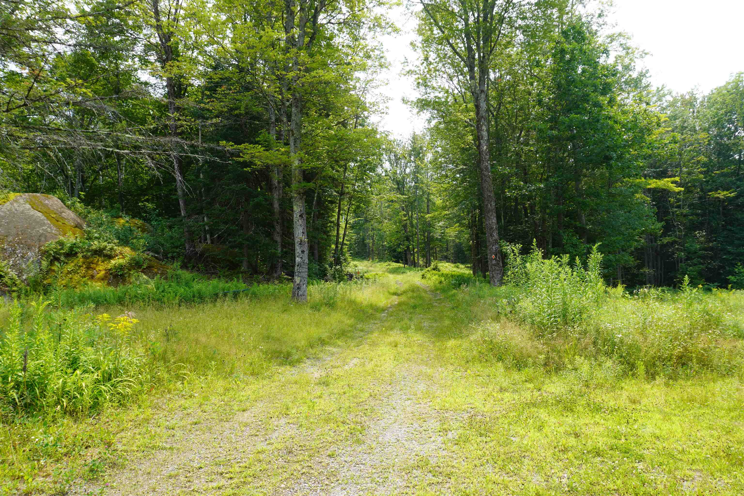 Photo 4 of Sale Pending at 4 Old Forest Rd, Marlow, NH 03456 | MLS# 5109574 | Listing updated on 2026-09-14