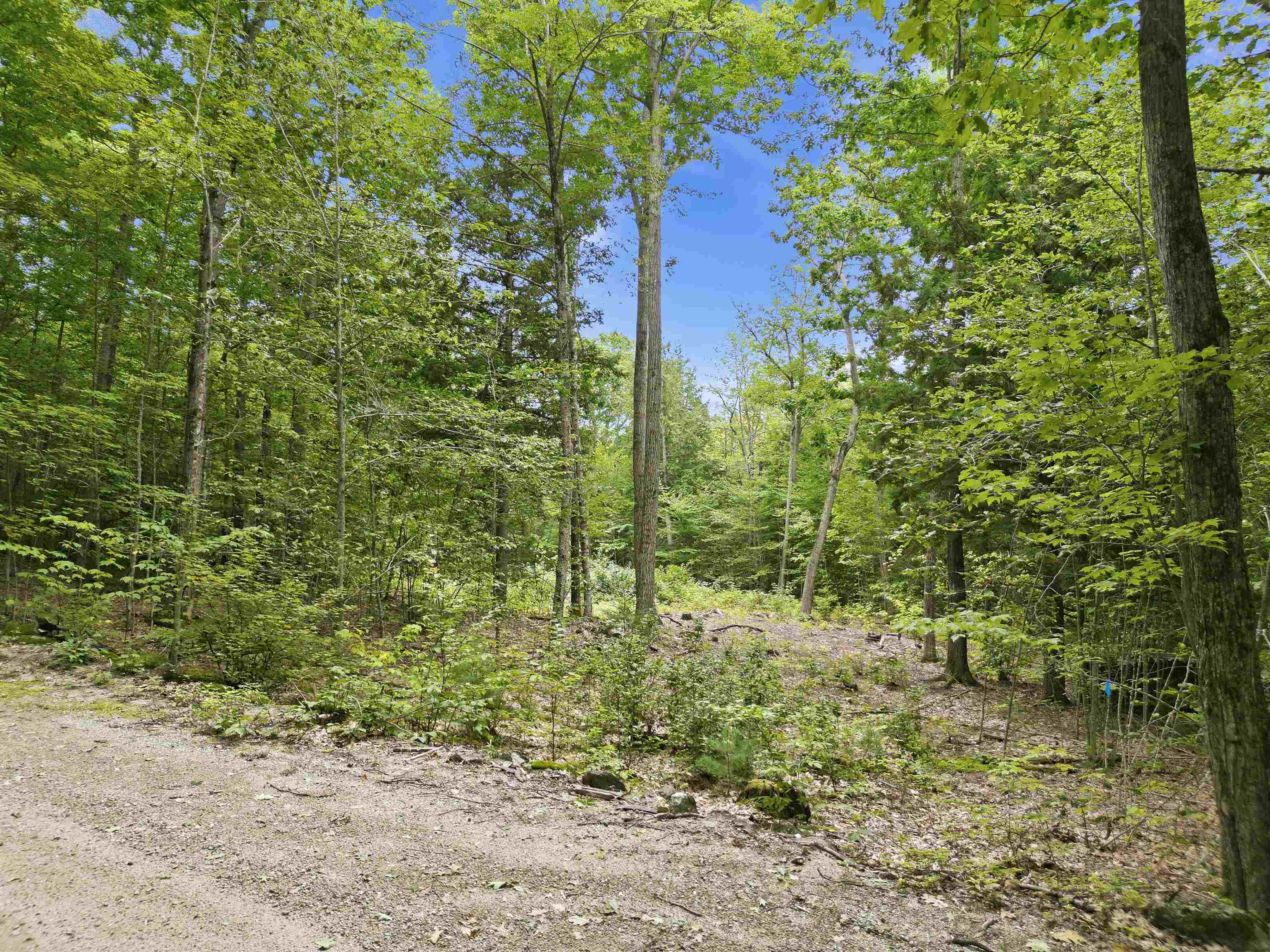 Photo 4 of Land for sale at 0 River Rd, Antrim, NH 03440 | MLS# 5109599 | Listing updated on 2026-09-15